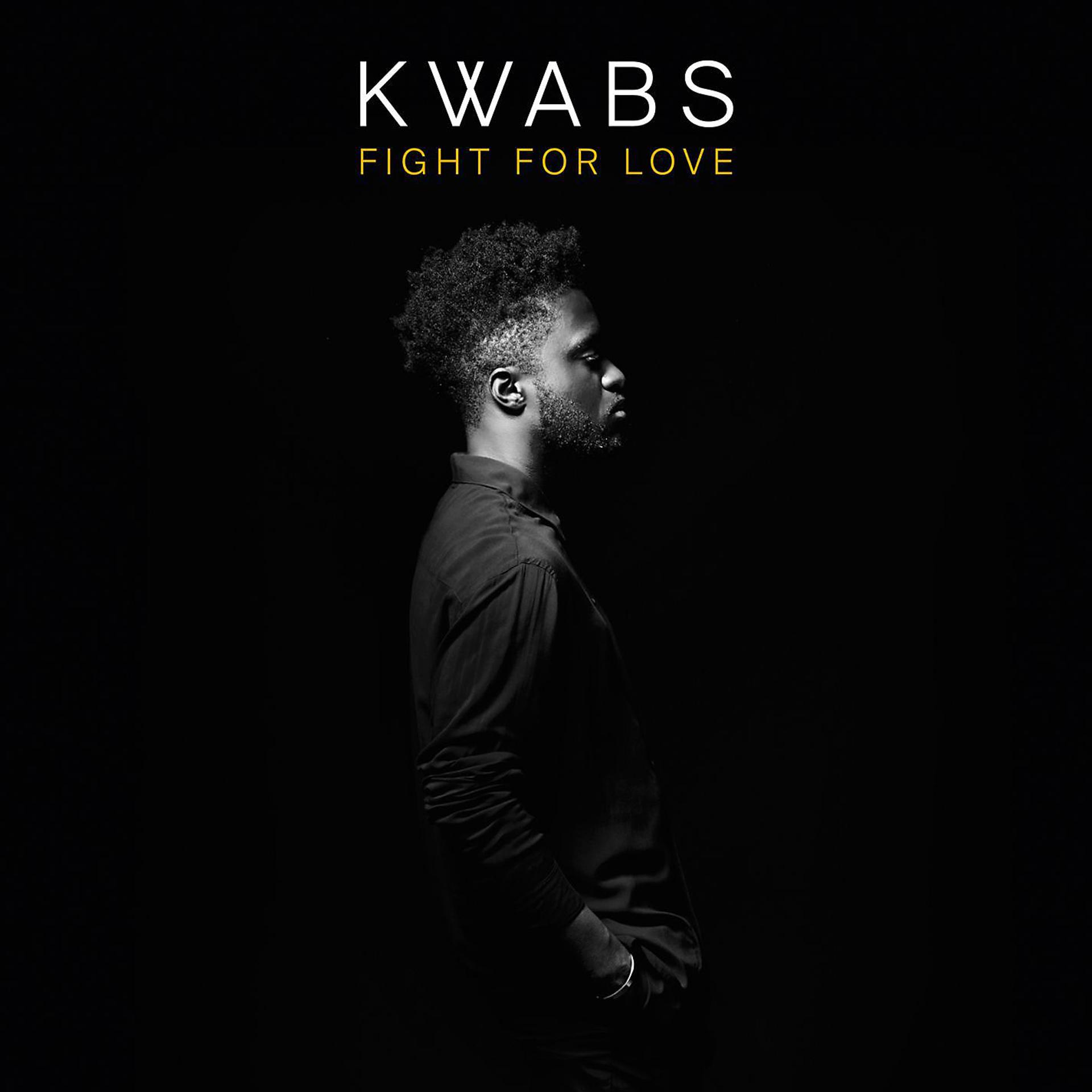 Постер альбома Fight for Love (Blonde Remix) [Radio Edit]