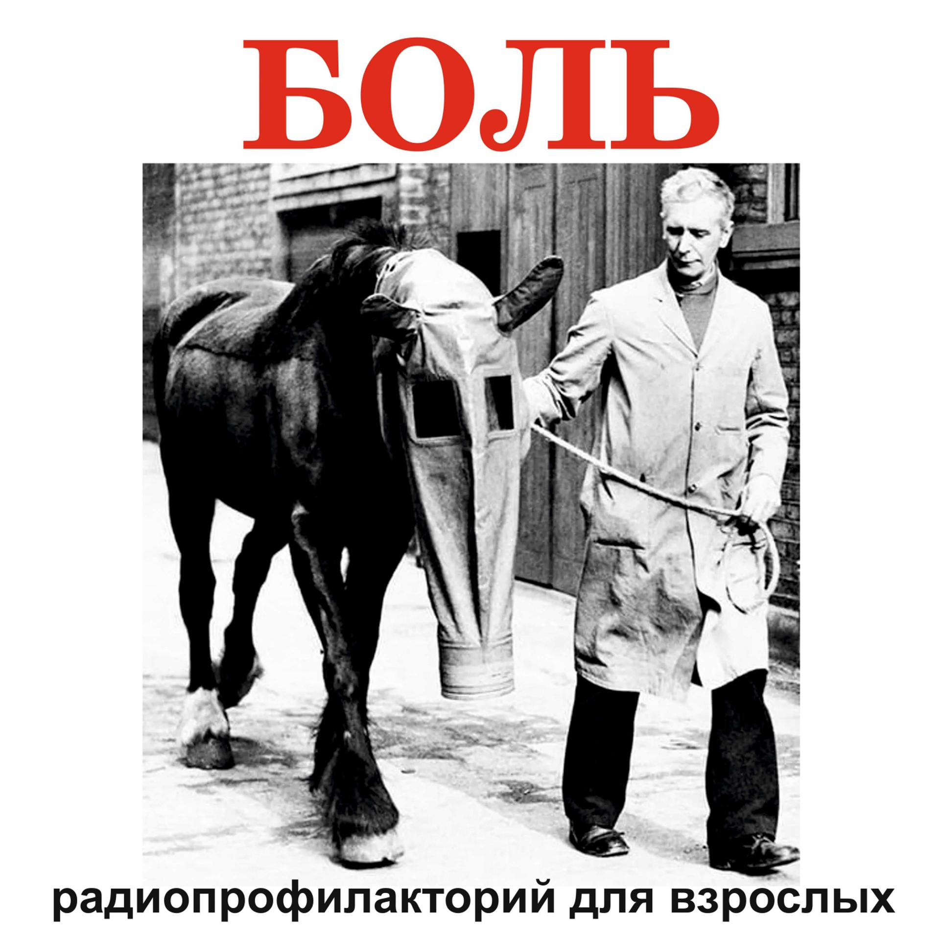 Постер альбома Радиопрофилакторий Боль