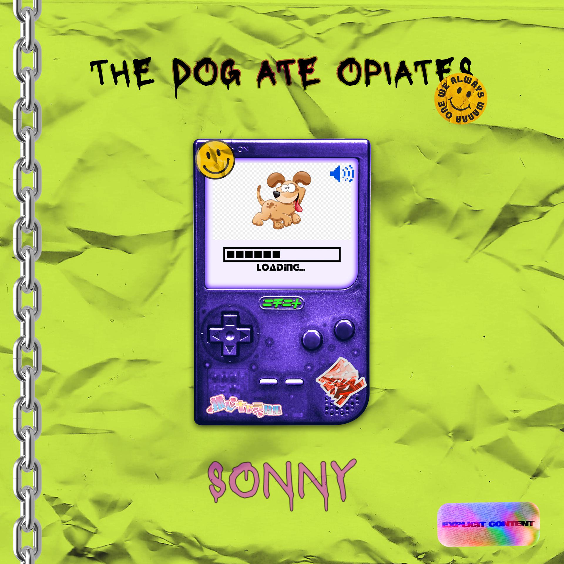 Постер альбома The Dog Ate Opiates