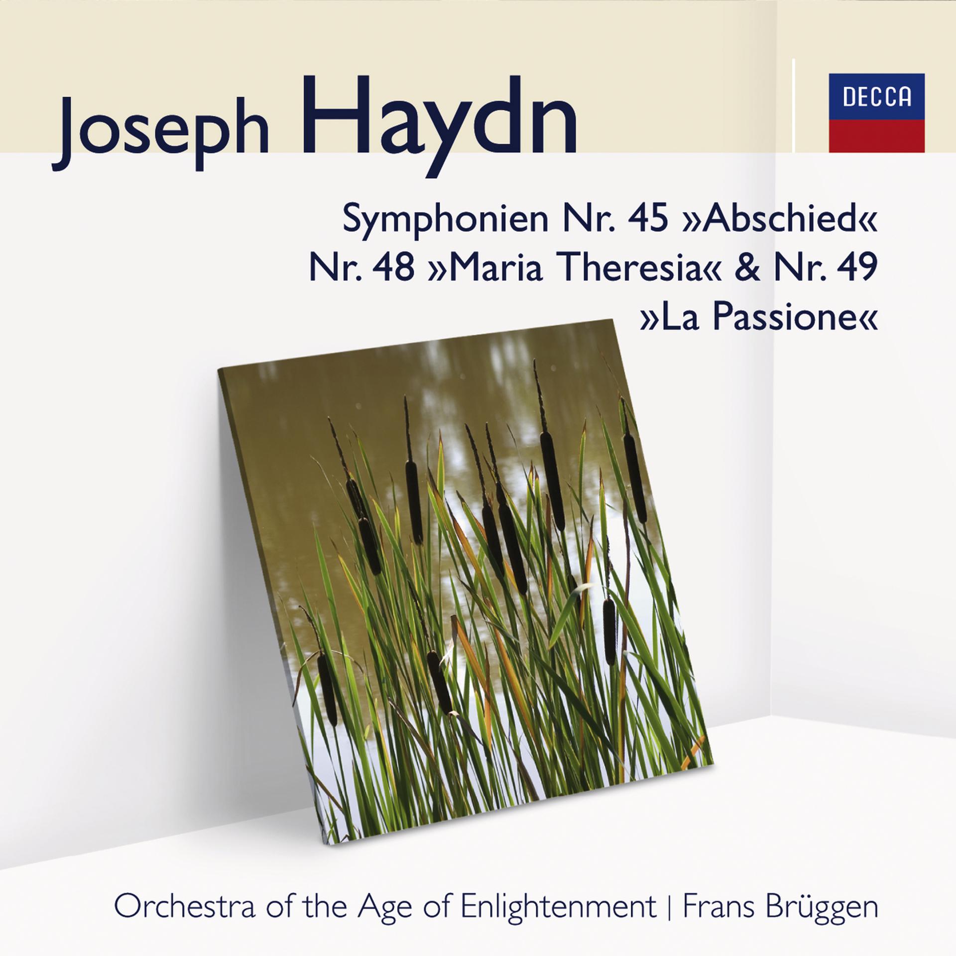 Постер альбома Haydn Symphonien Nr. 45, Nr. 48 & Nr. 49