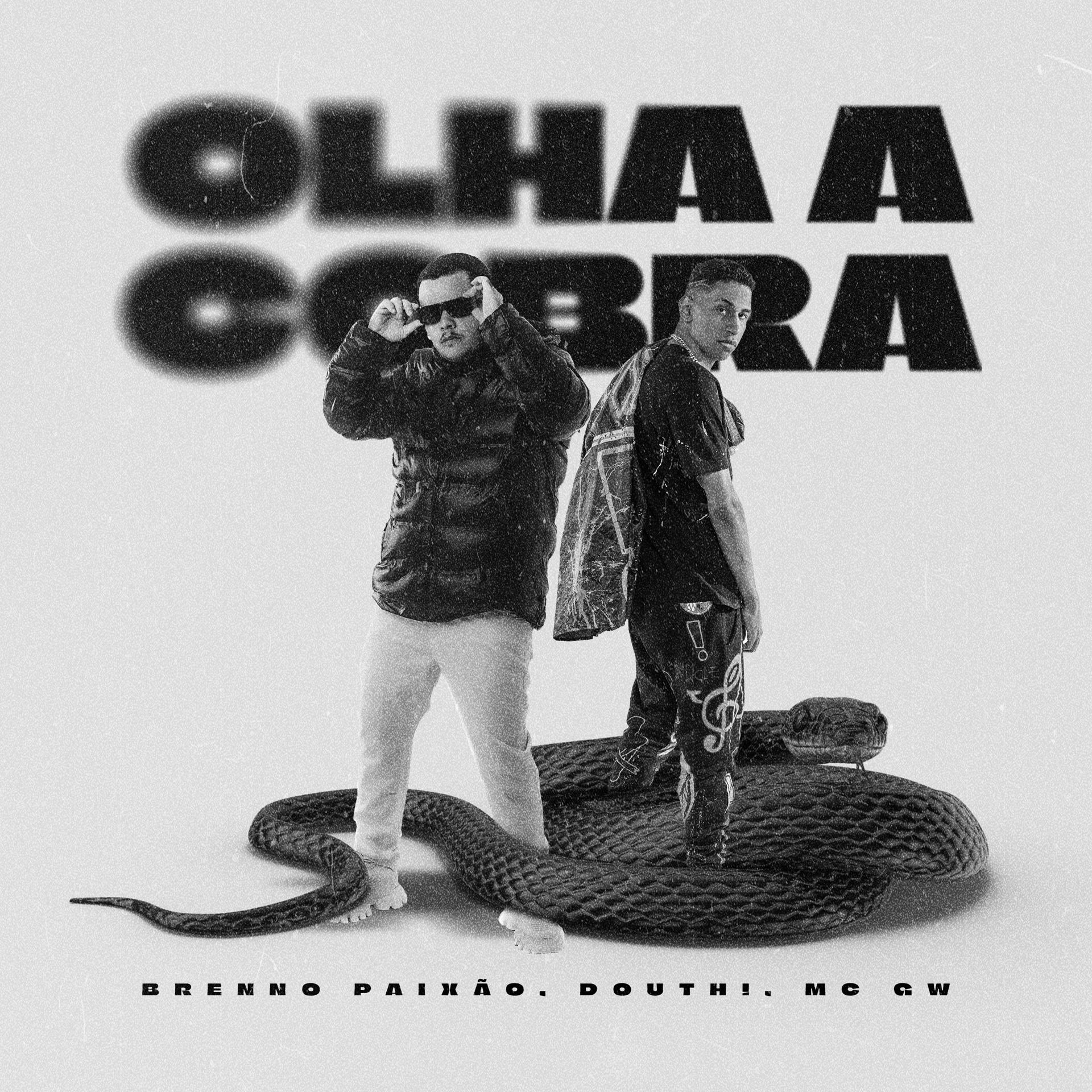 Постер альбома Olha a Cobra