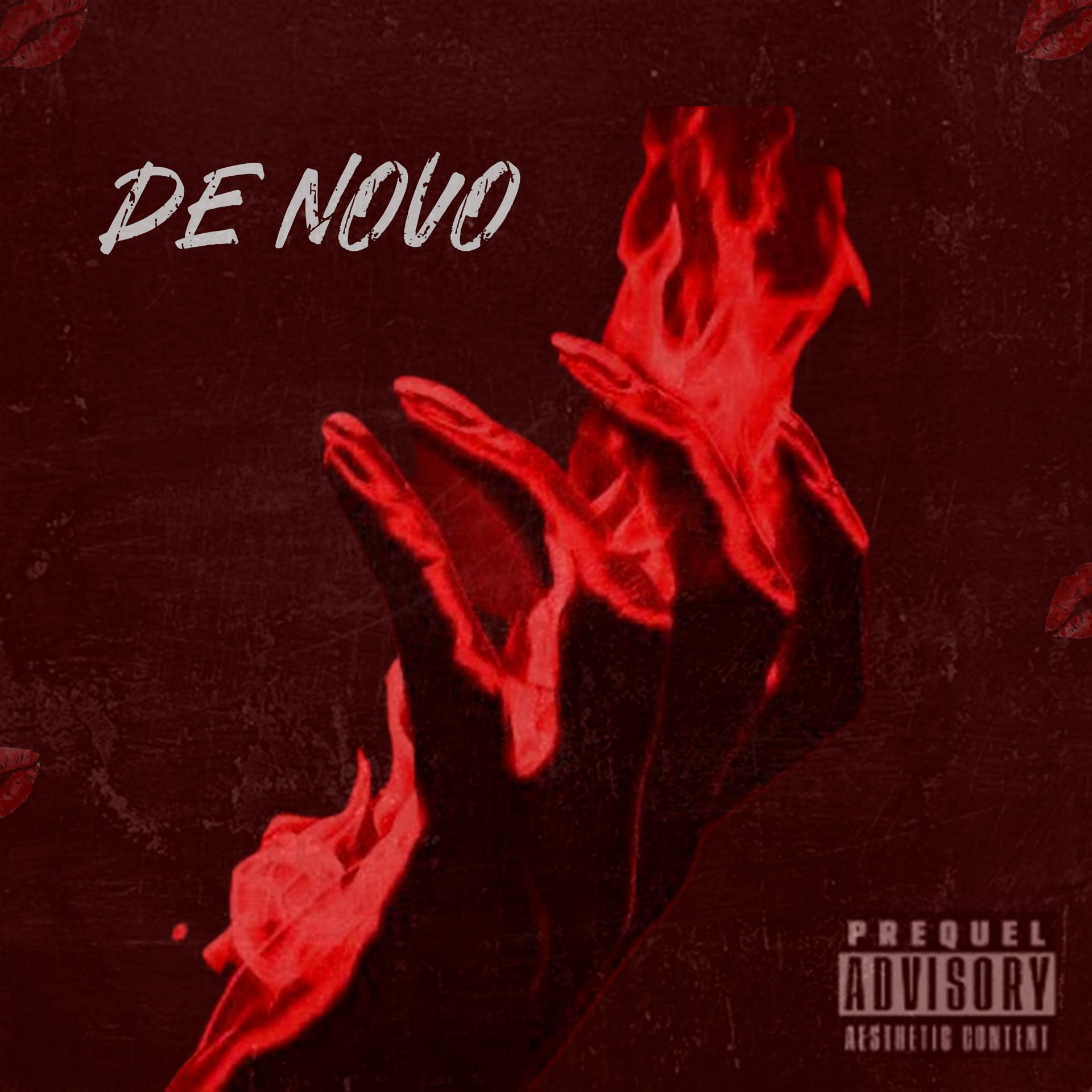 Постер альбома De Novo