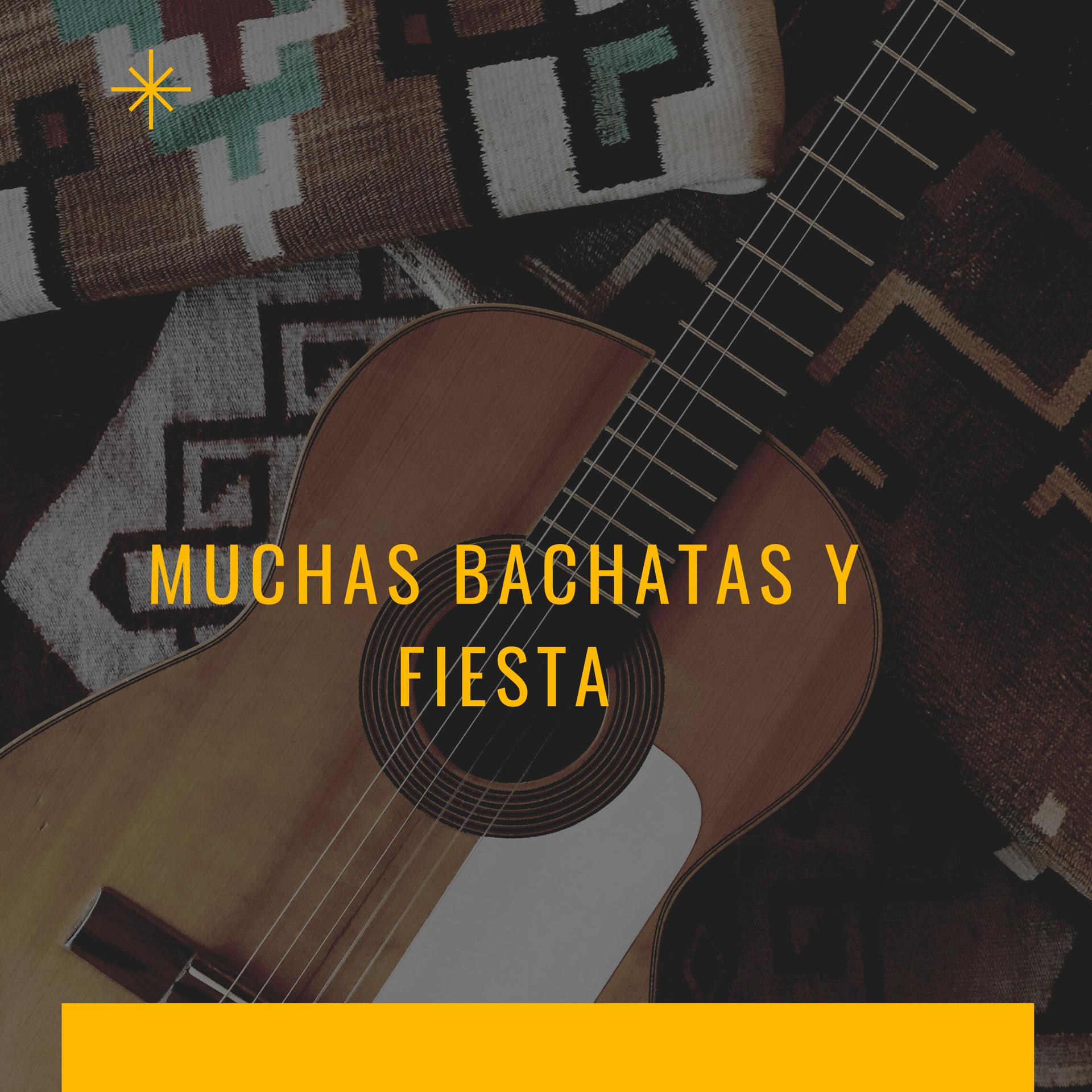 Постер альбома Muchas Bachatas y fiesta