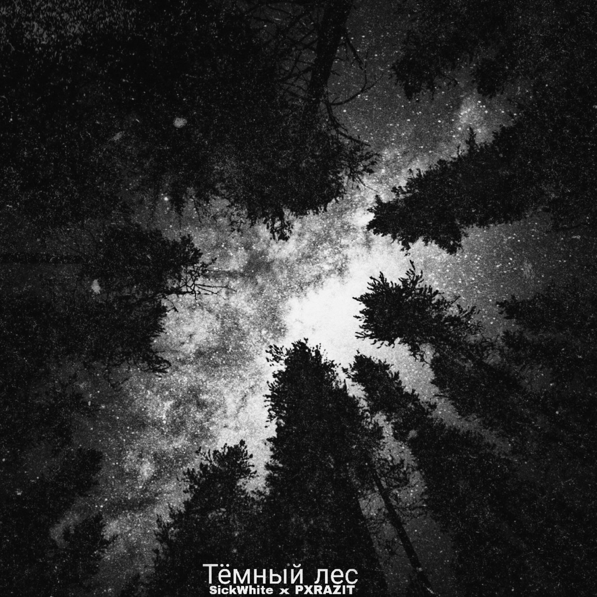 Постер альбома Тёмный лес