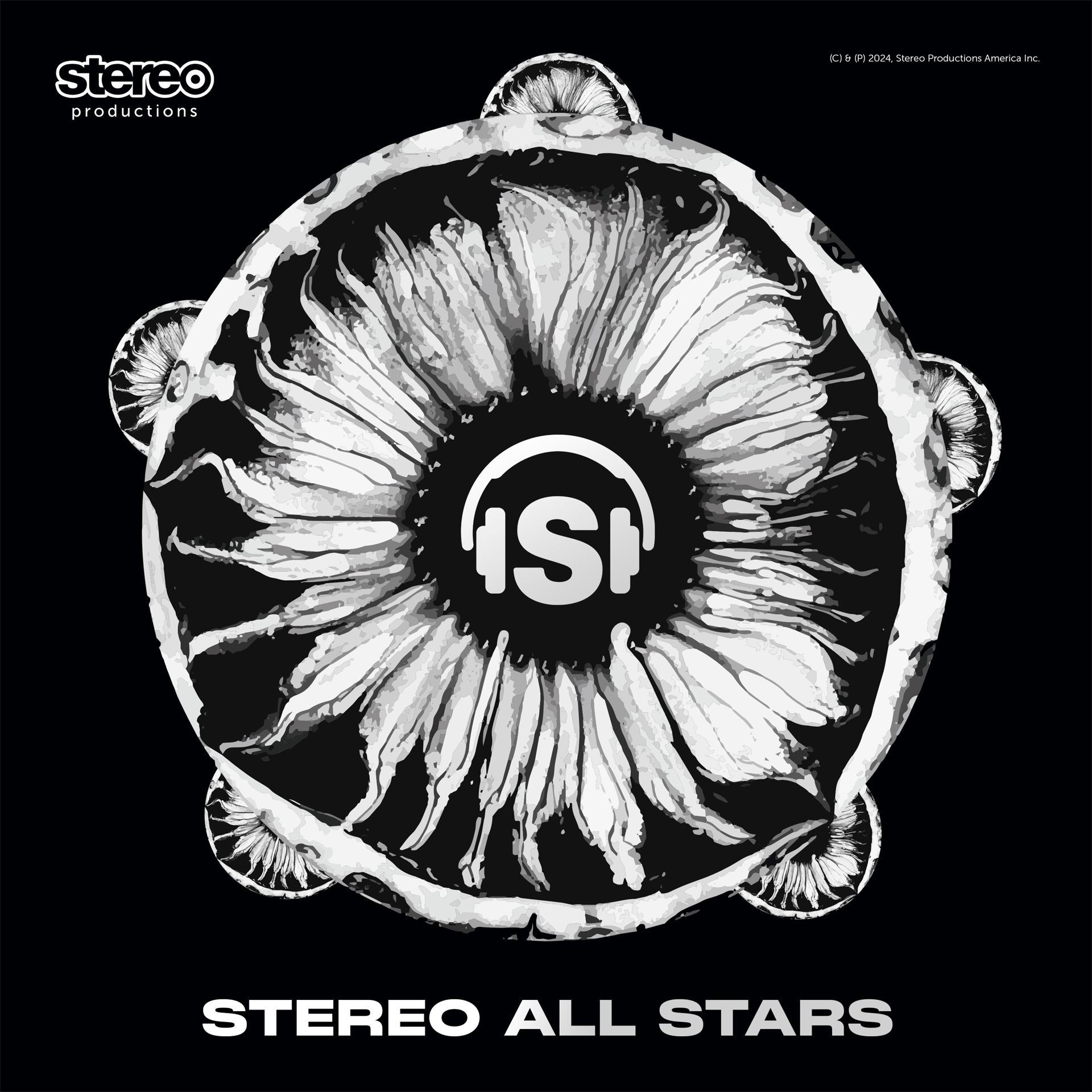 Постер альбома Stereo All Stars