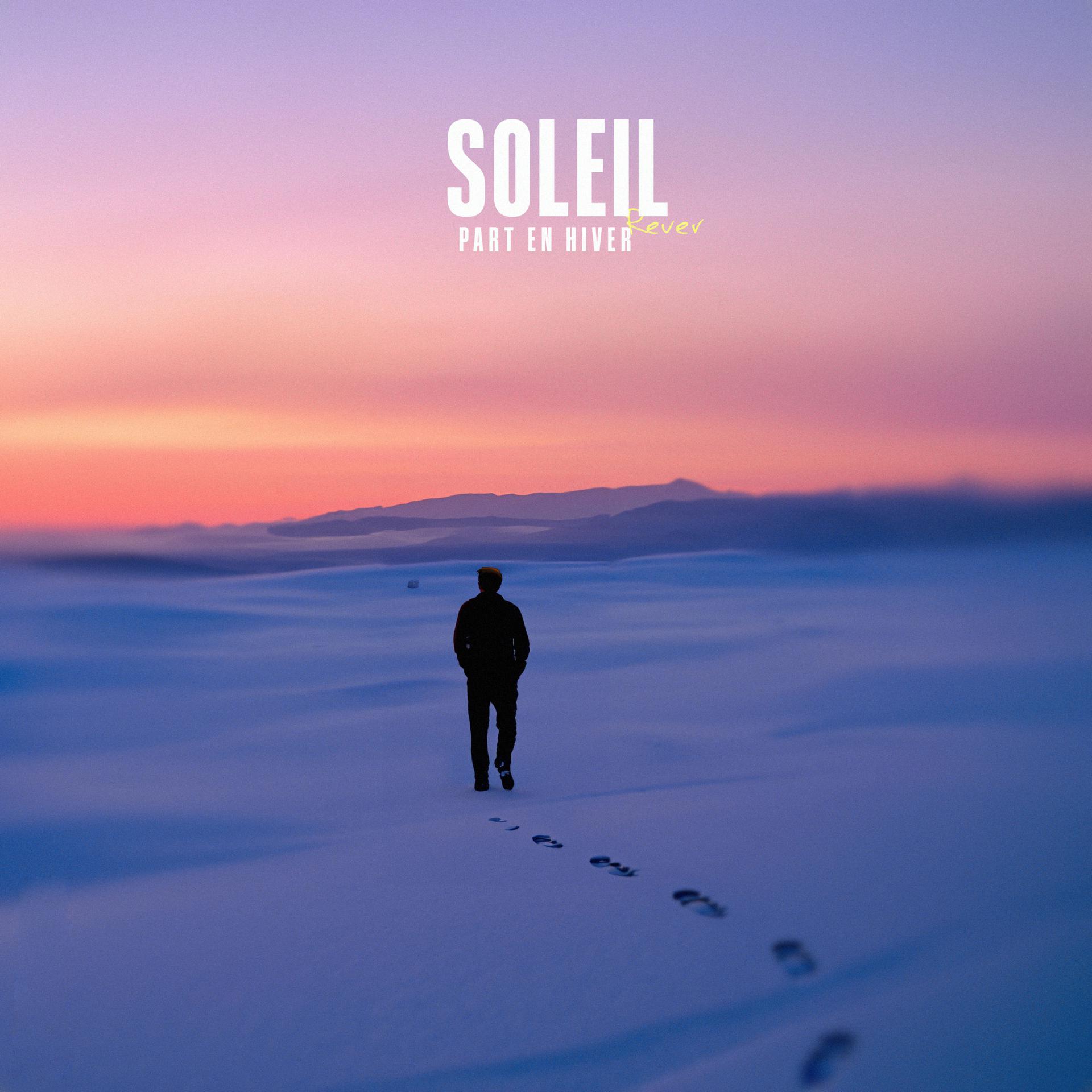 Постер альбома Soleil part en hiver