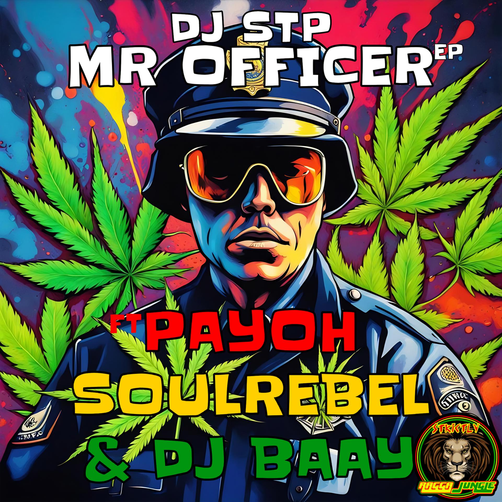 Постер альбома Mr Officer EP