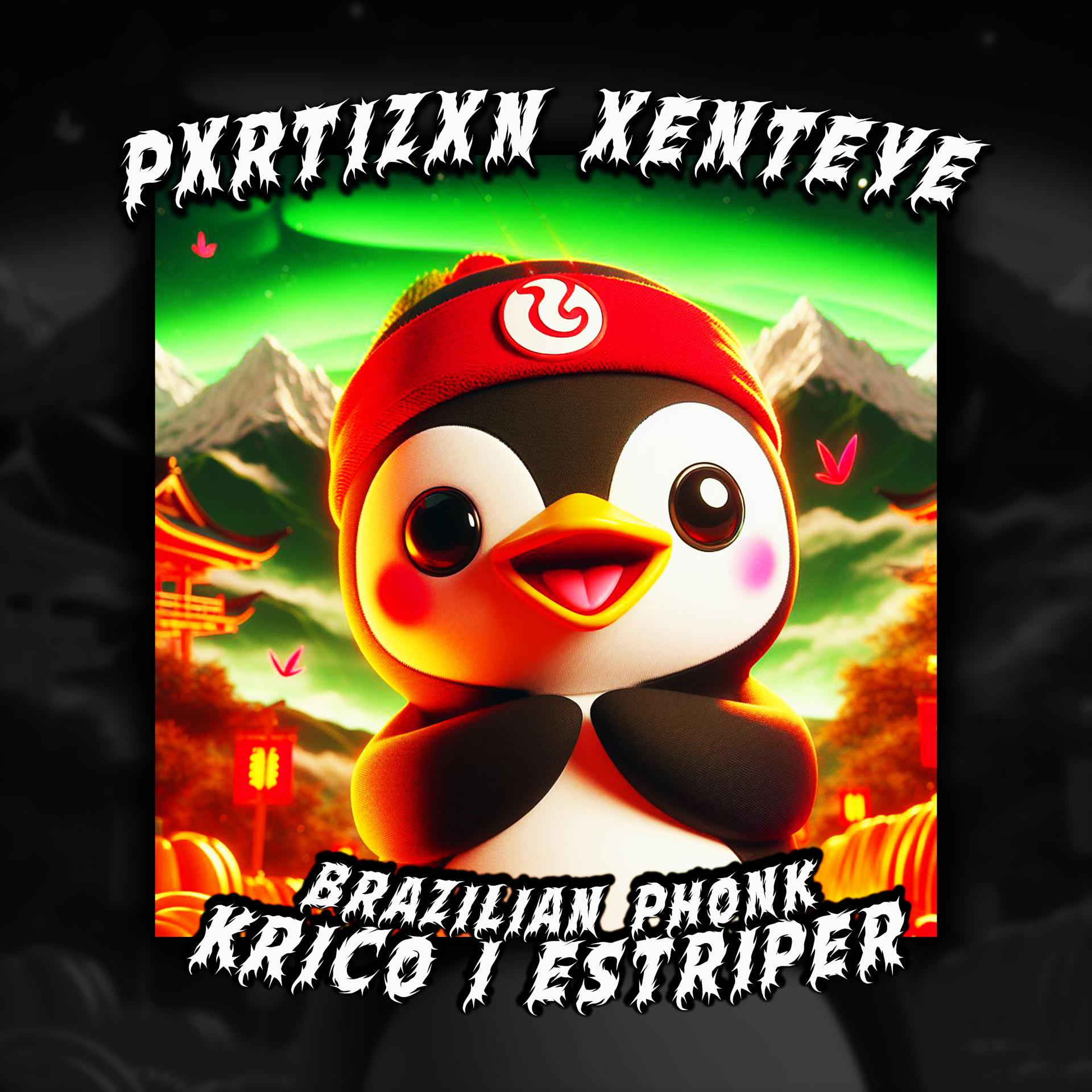 Постер альбома BRAZILIAN PHONK KRICO I ESTRIPER