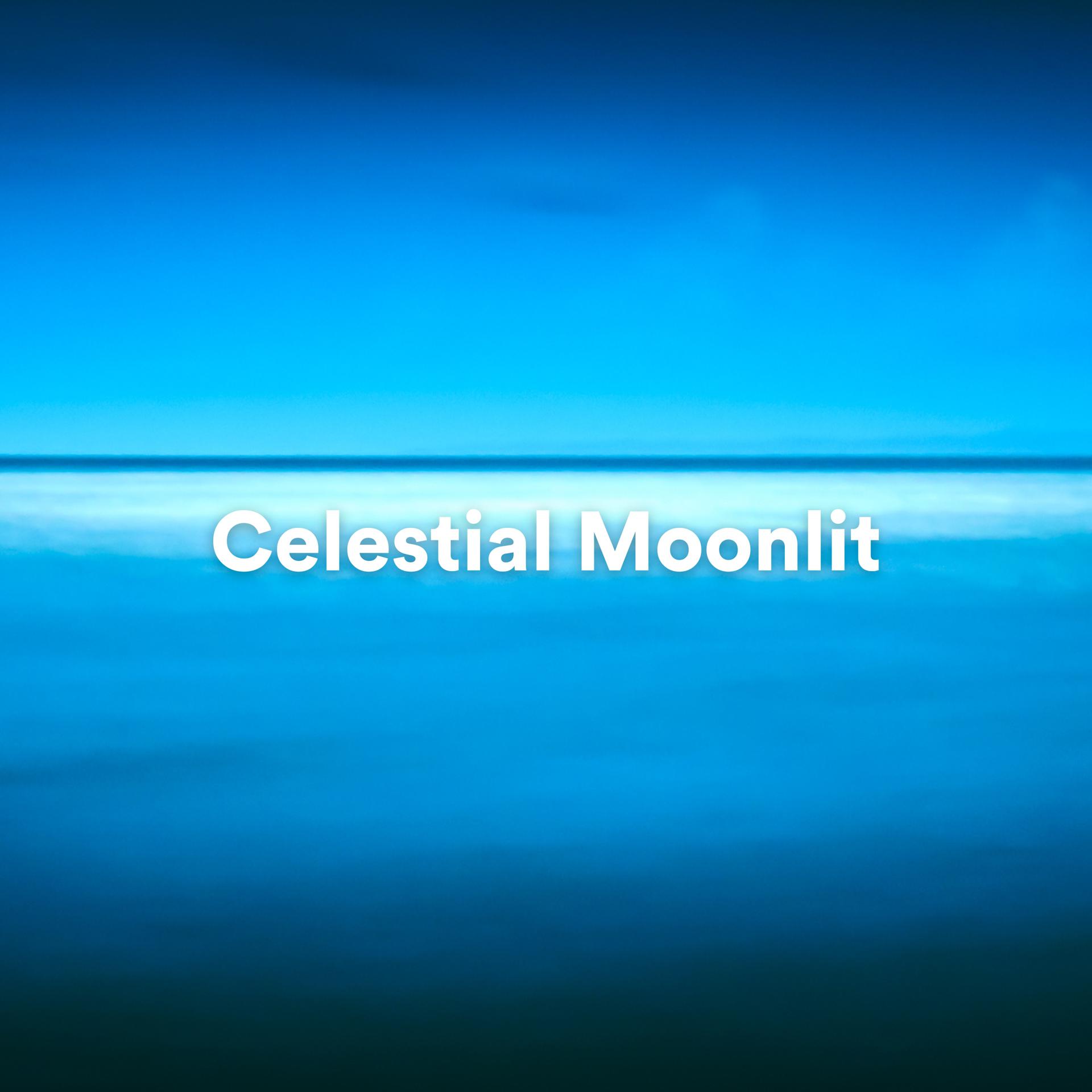 Постер альбома Celestial Moonlit