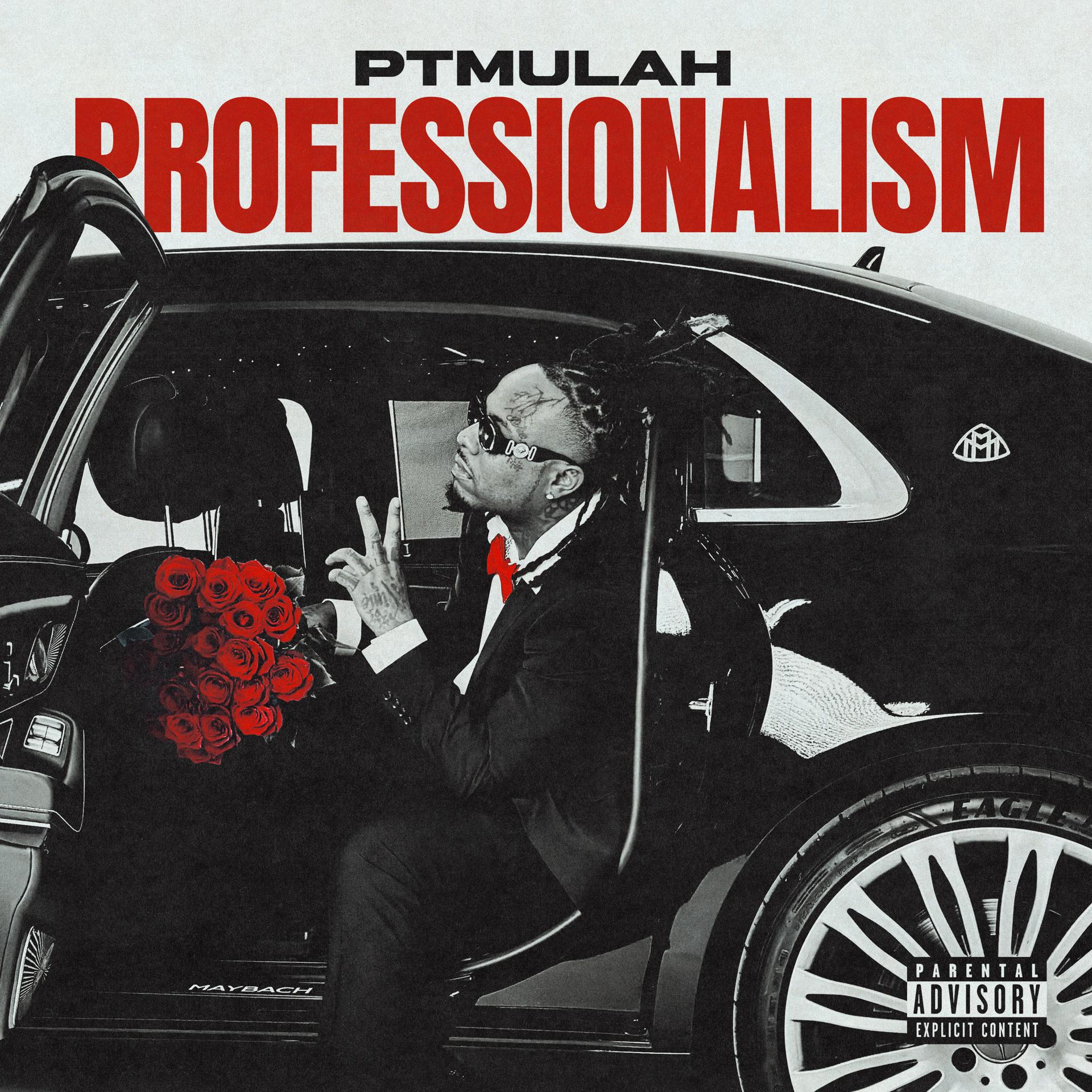 Постер альбома Professionalism
