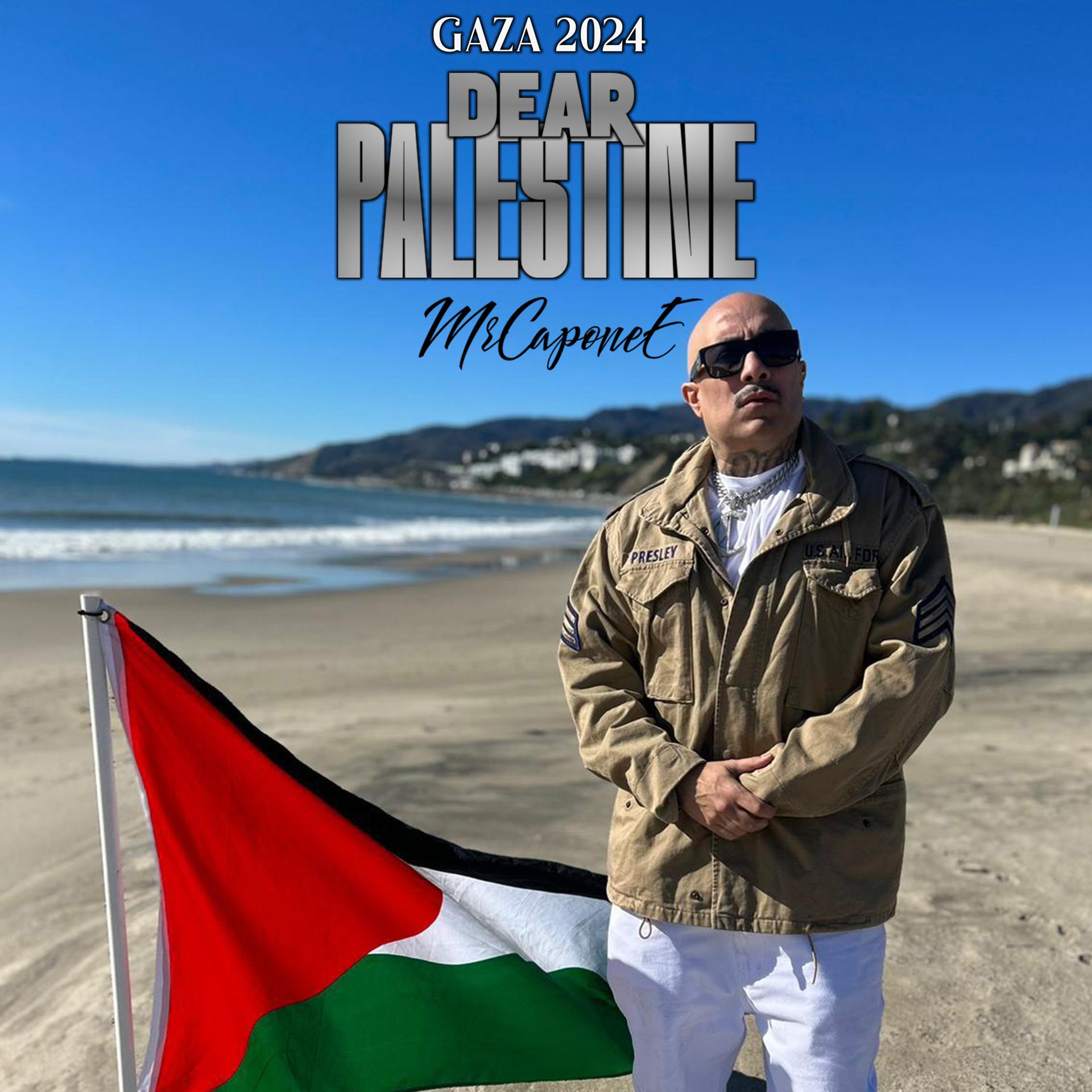 Постер альбома Dear Palestine