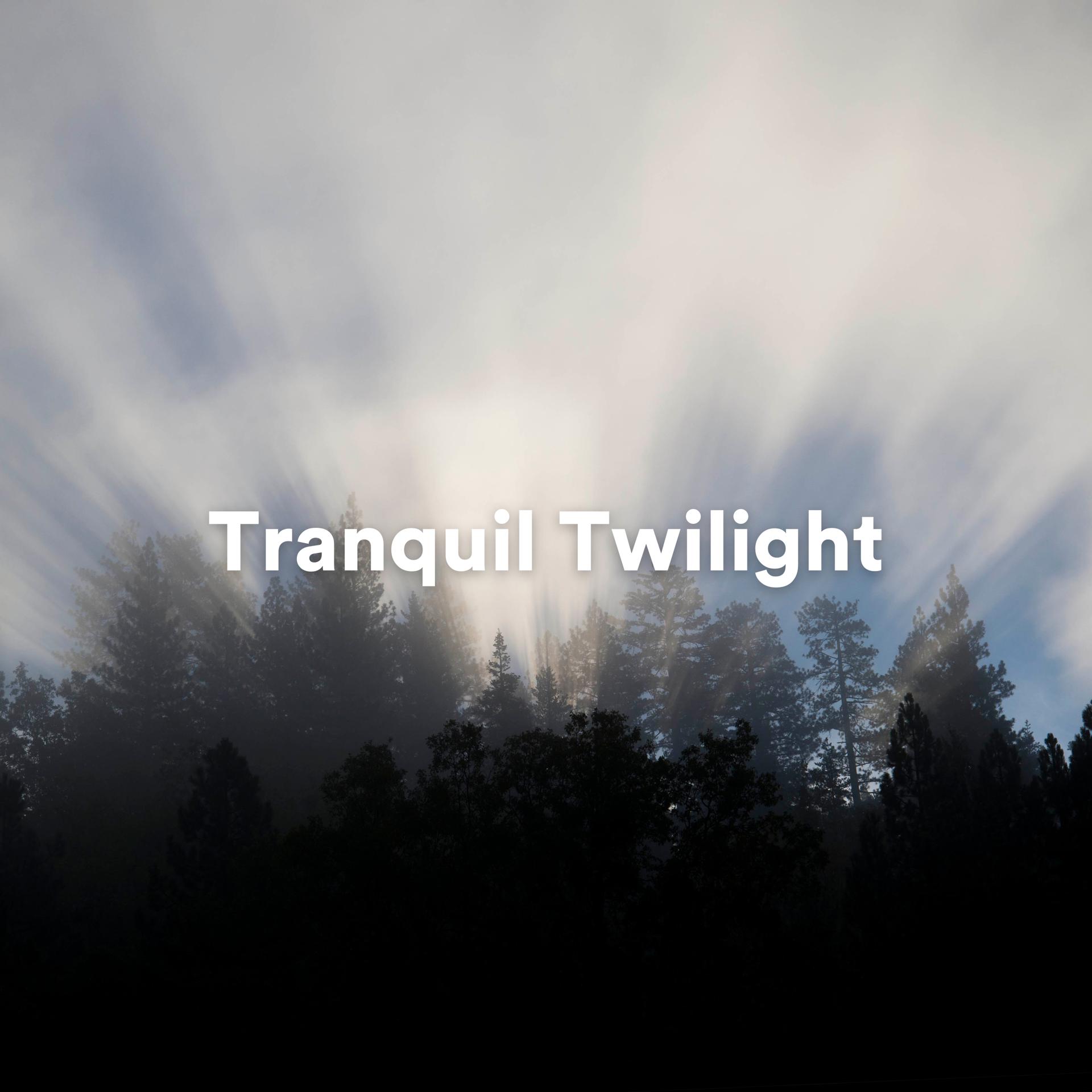 Постер альбома Tranquil Twilight: Ambient Melodies for Evening Meditation and Relaxation