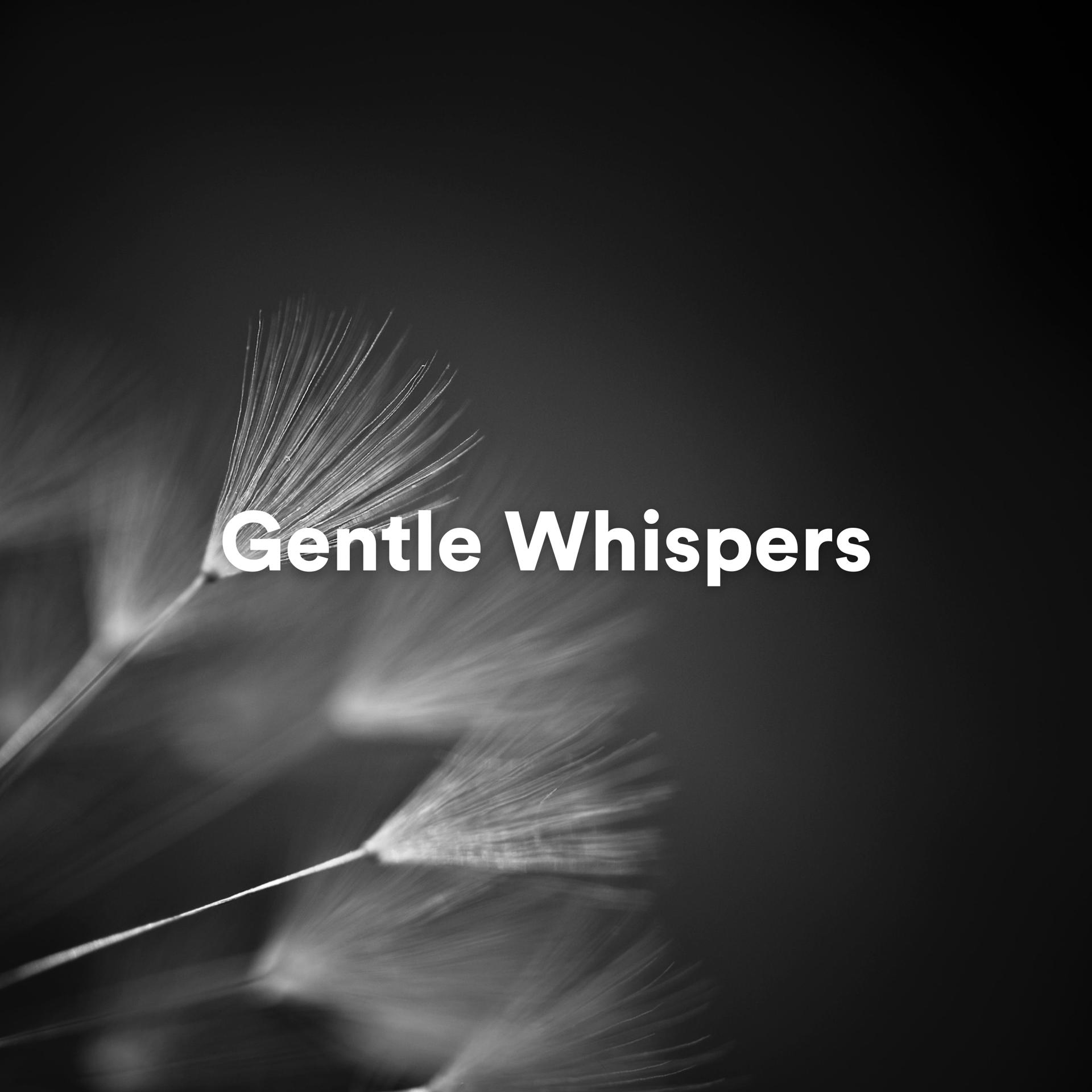 Постер альбома Gentle Whispers