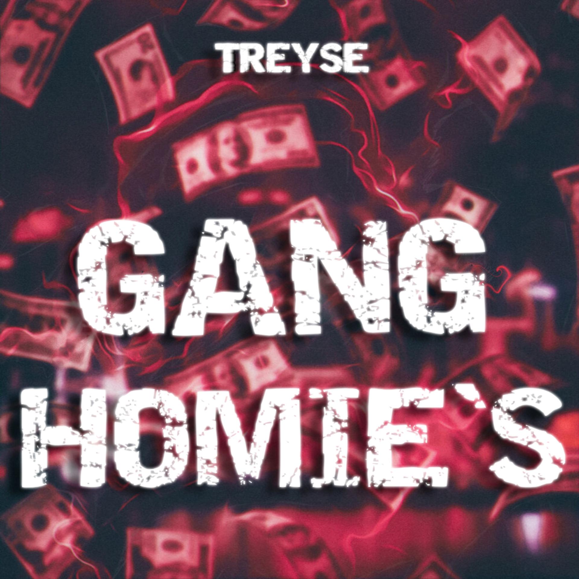Постер альбома Gang Homie`s