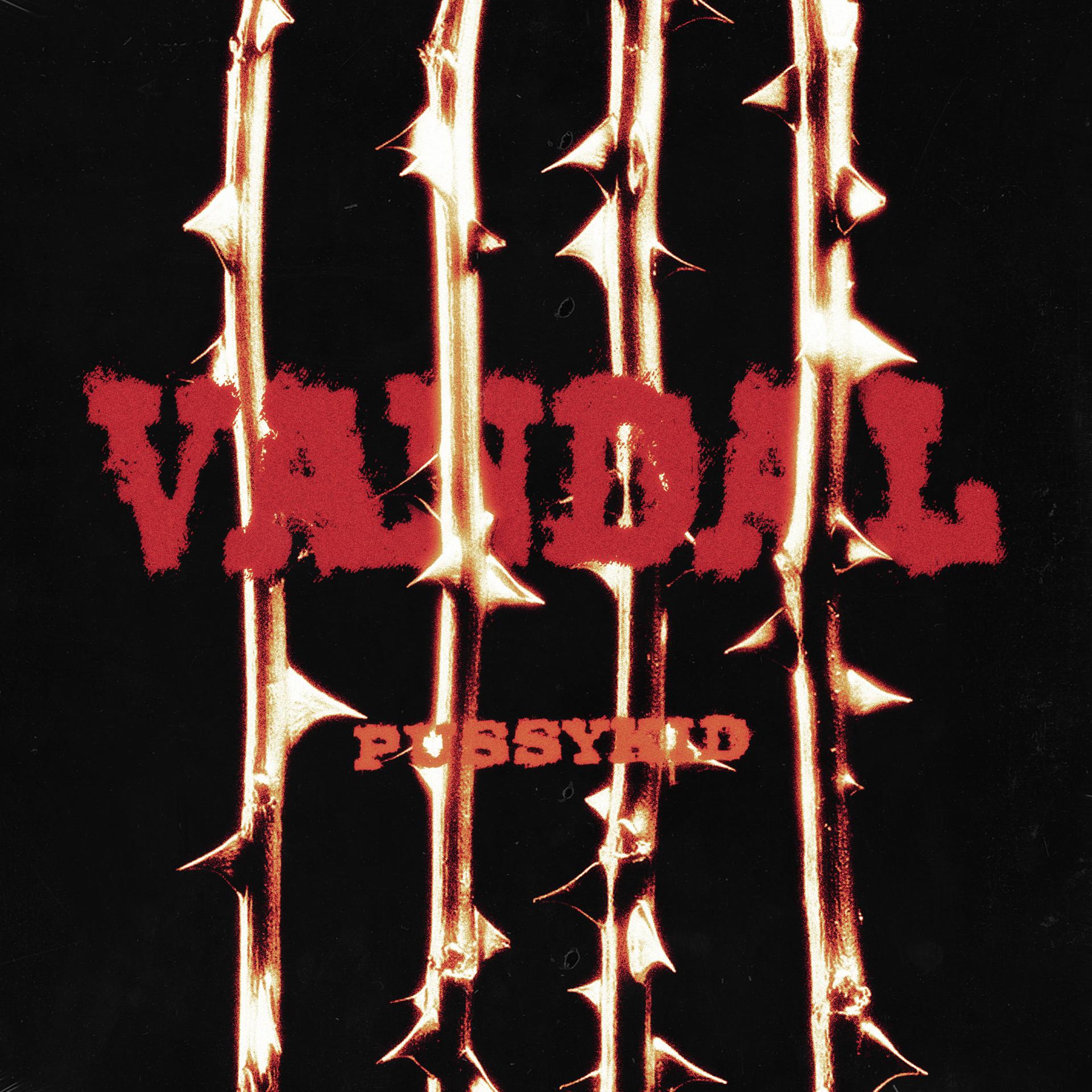Постер альбома VANDAL