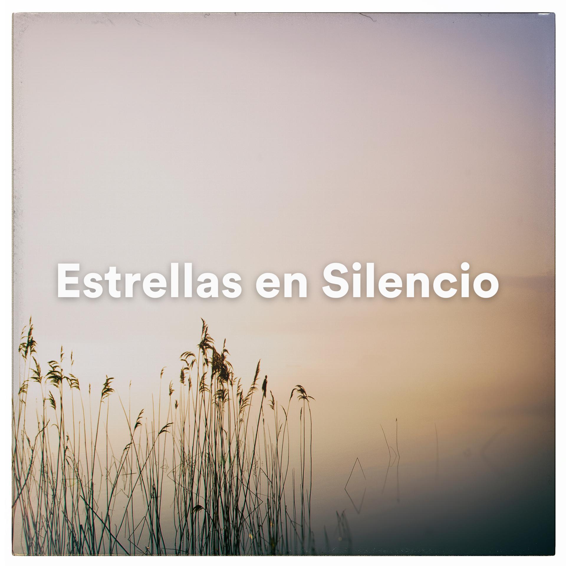 Постер альбома Estrellas en Silencio