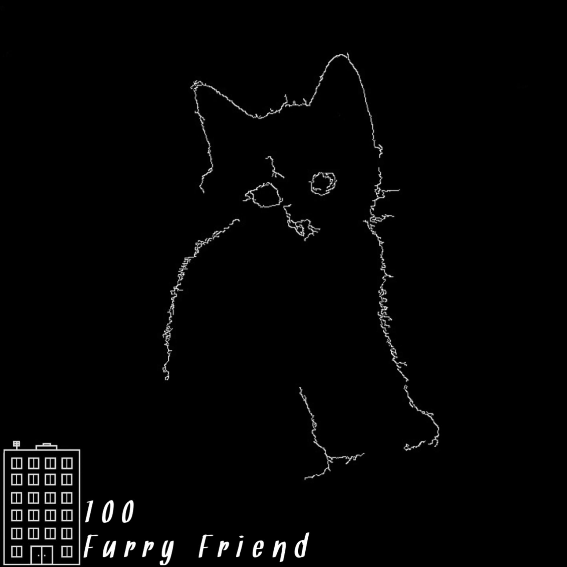 Постер альбома Furry Friend