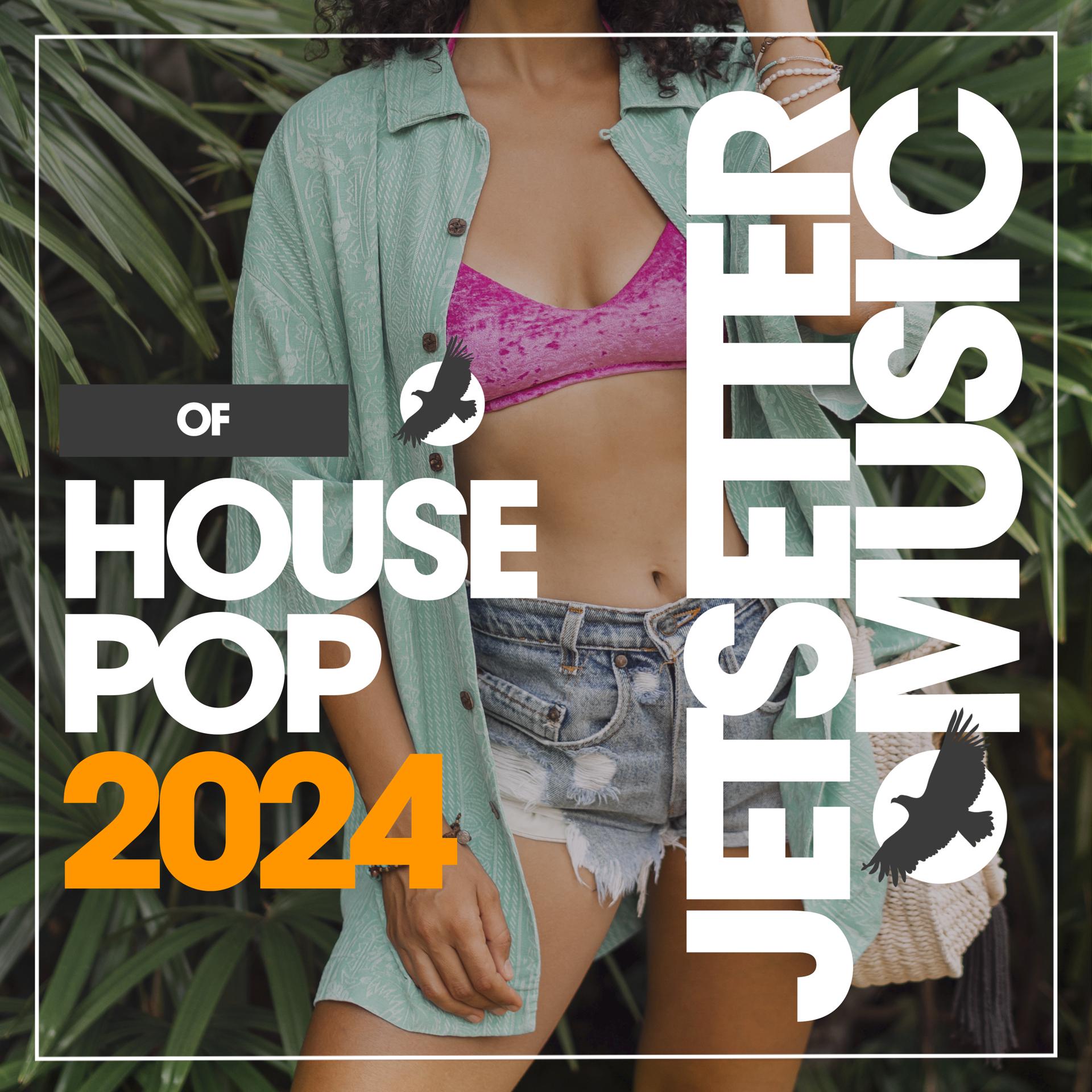 Постер альбома House Of Pop 2024