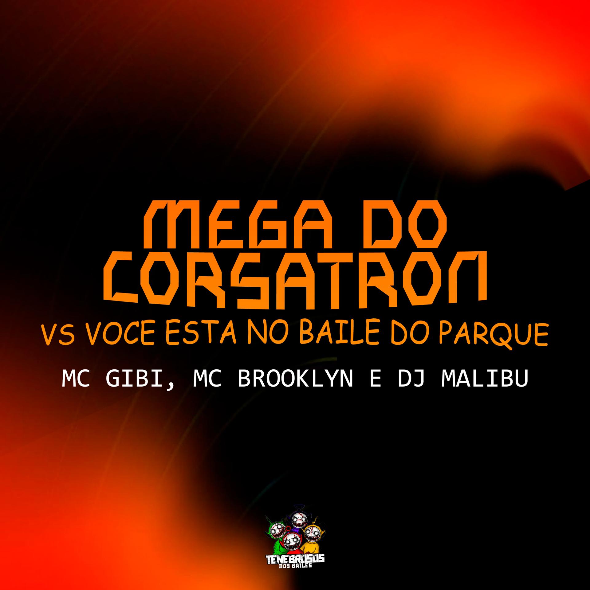 Постер альбома Mega do Corsatron Vs Voce Esta no Baile do Parque