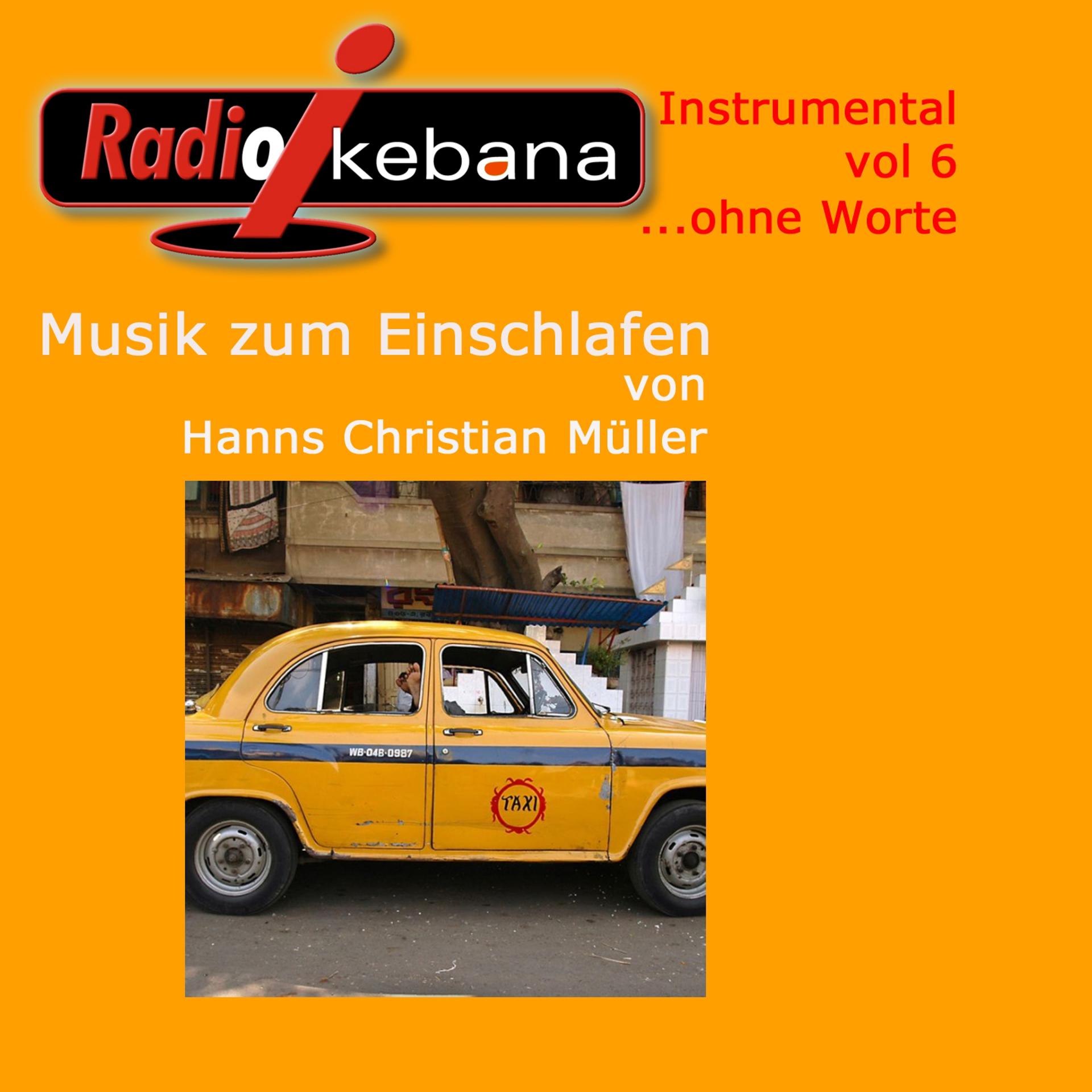 Постер альбома Radio Ikebana Instrumental (ohne Worte), Vol. 6