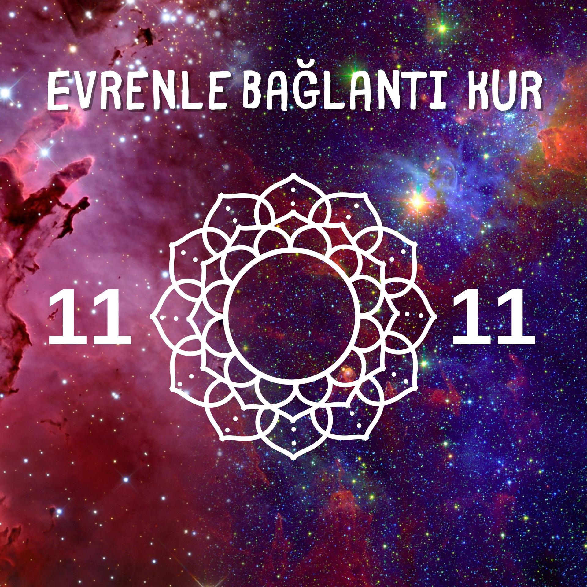 Постер альбома Evrenle Bağlantı Kur 11 11
