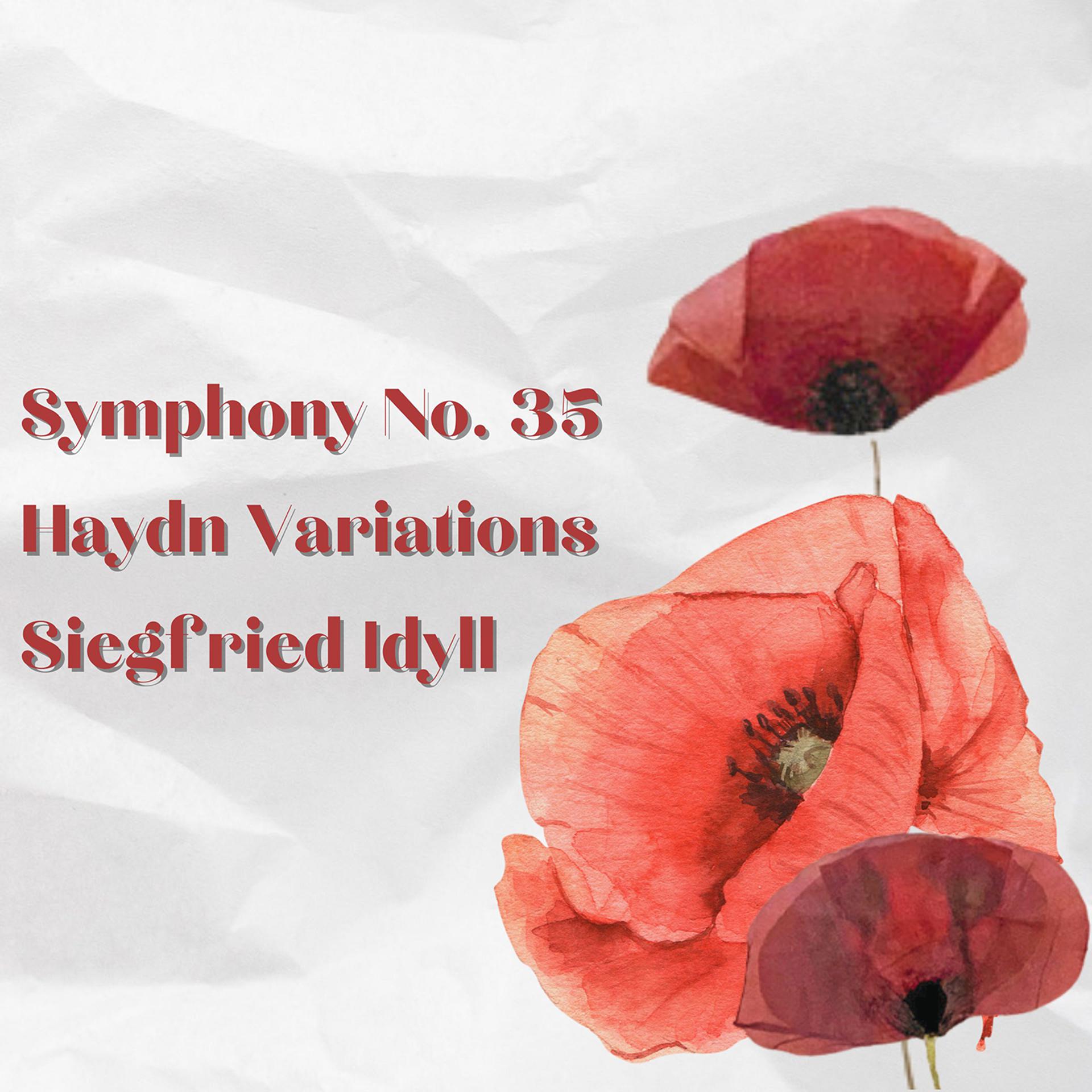 Постер альбома Symphony No. 35/ Haydn Variations / Siegfried Idyll