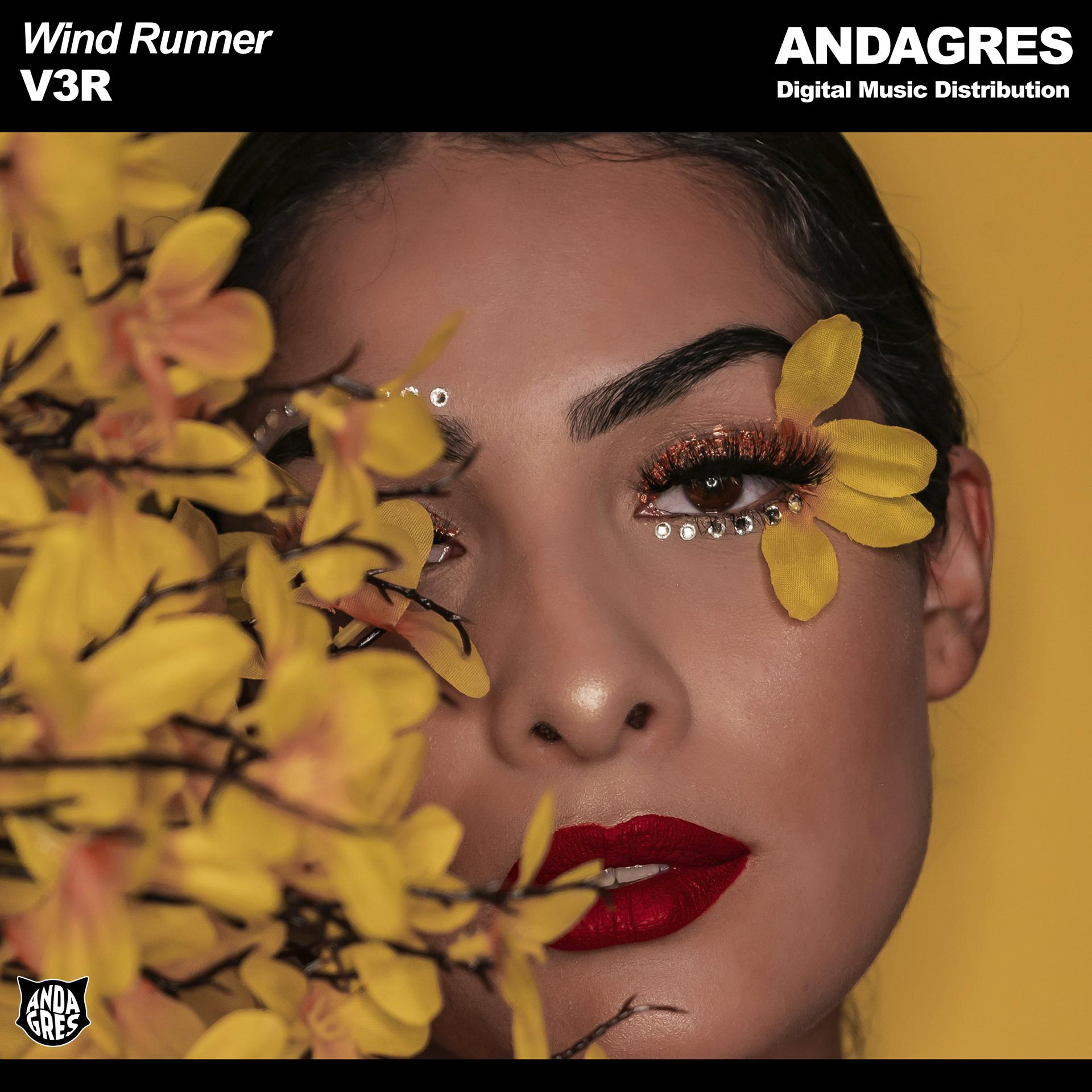 Постер альбома Wind Runner