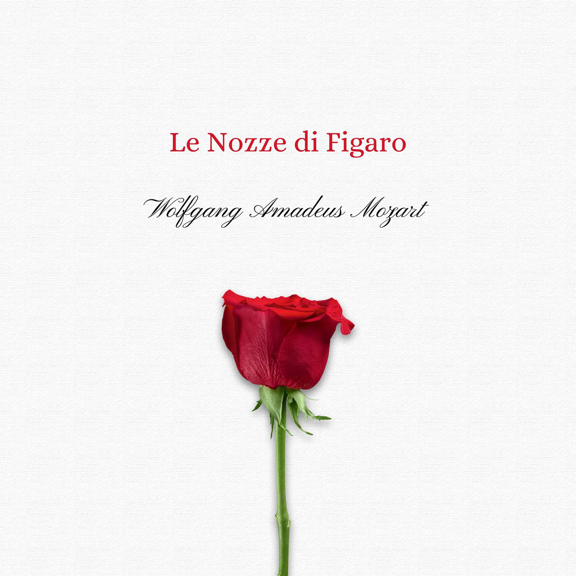Постер альбома Le Nozze Di Figaro
