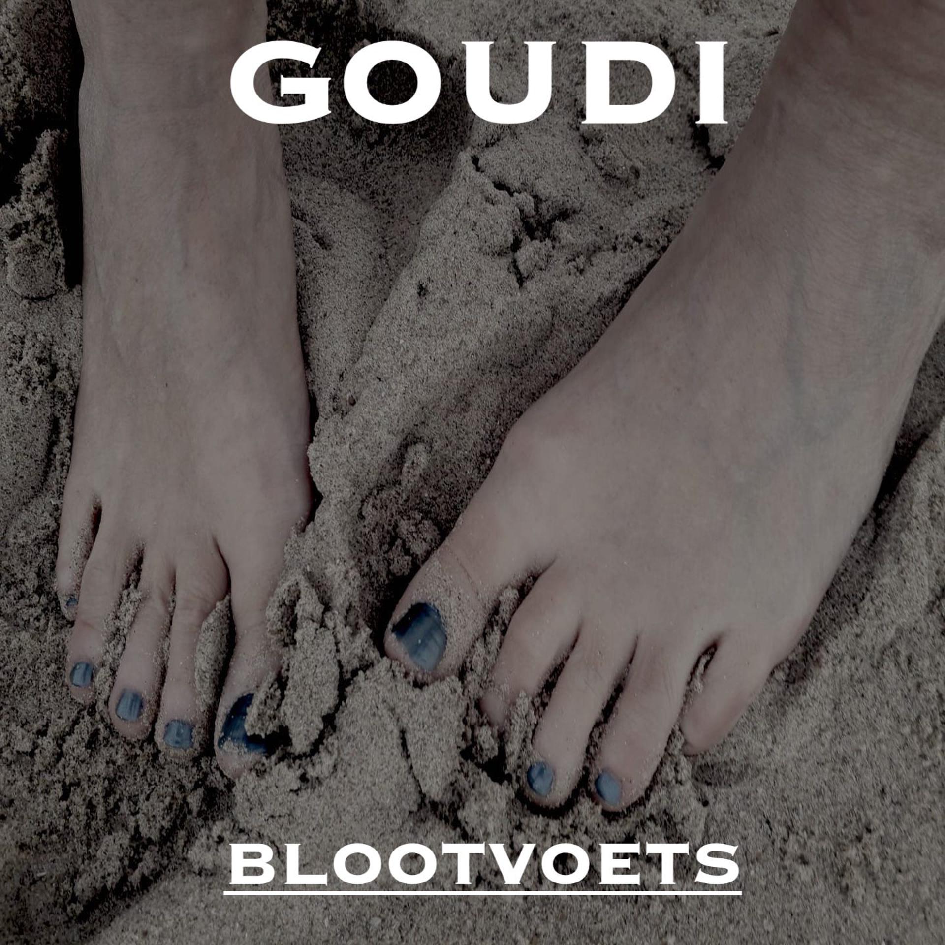 Постер альбома Blootvoets