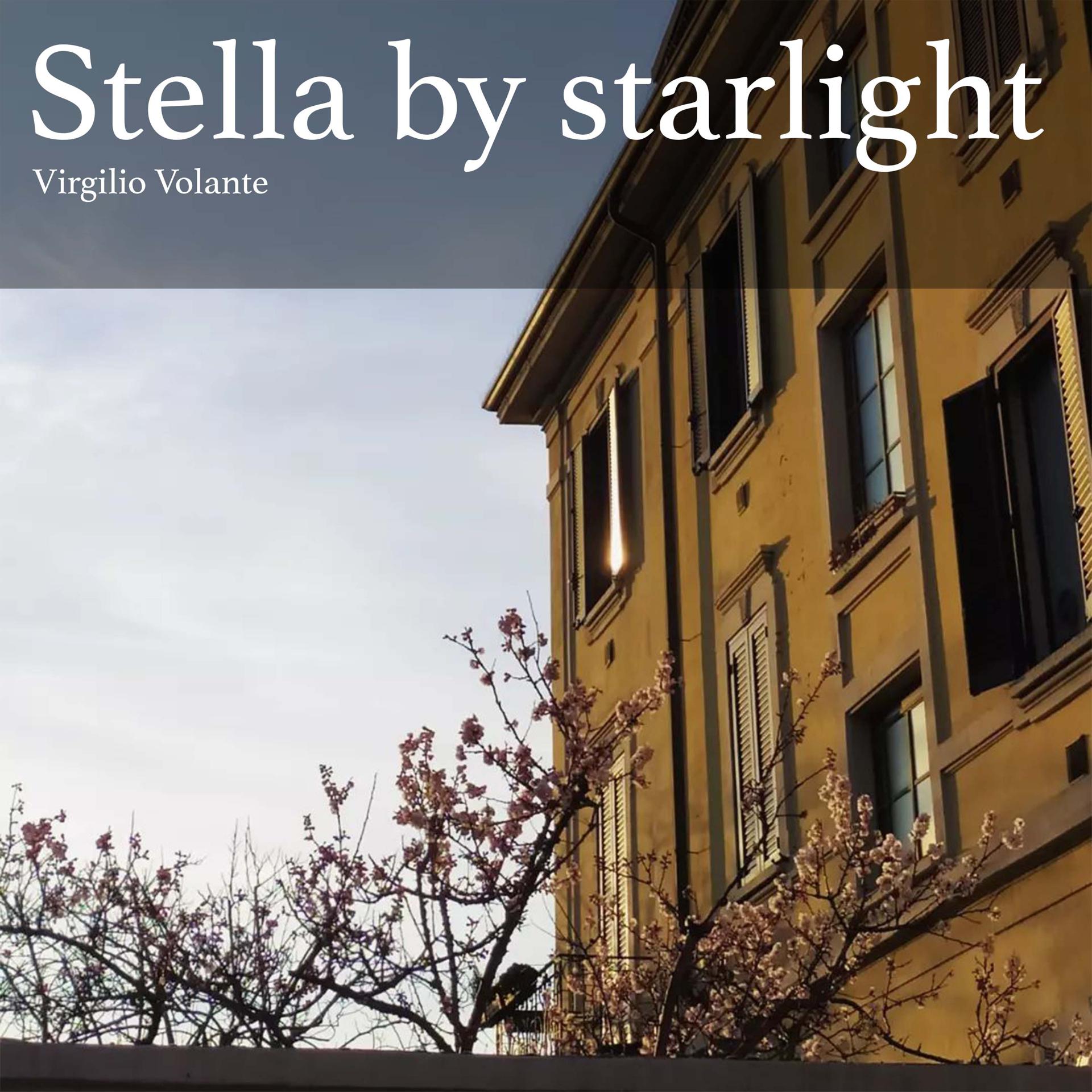 Постер альбома Stella by starlight