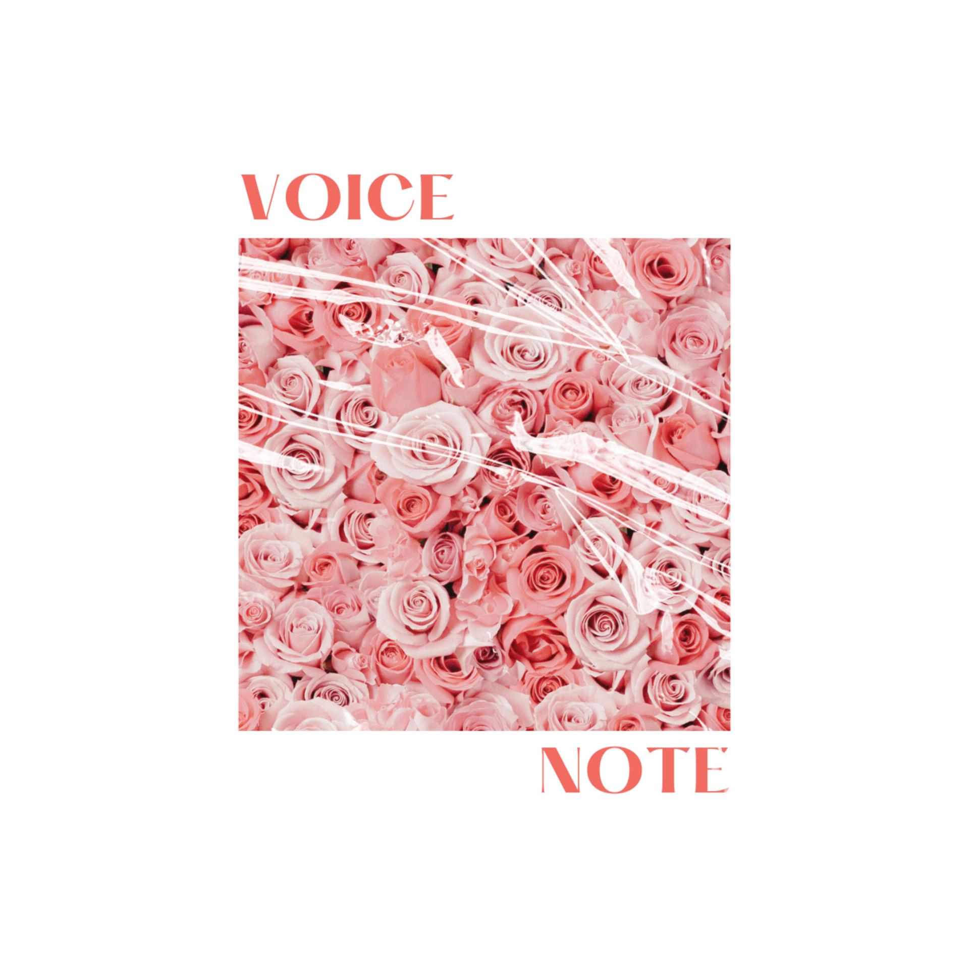 Постер альбома Voice Note