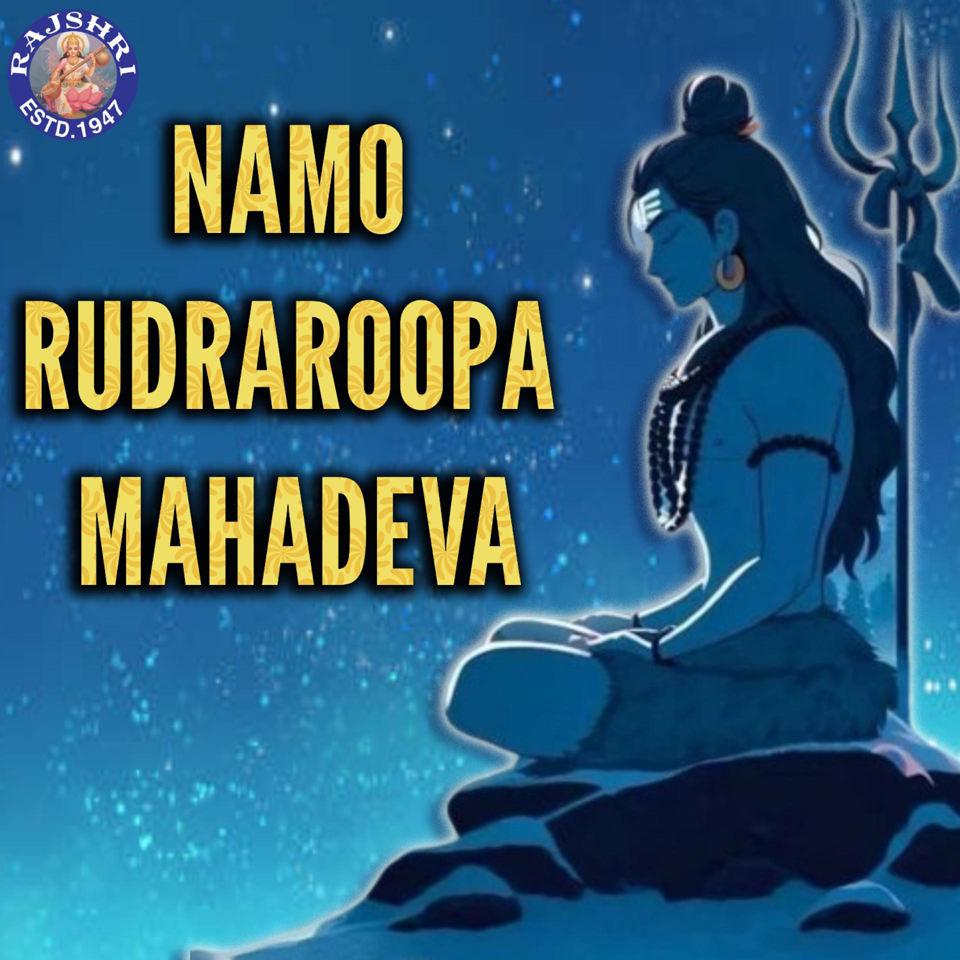 Постер альбома Namo Rudraroopa mahadeva