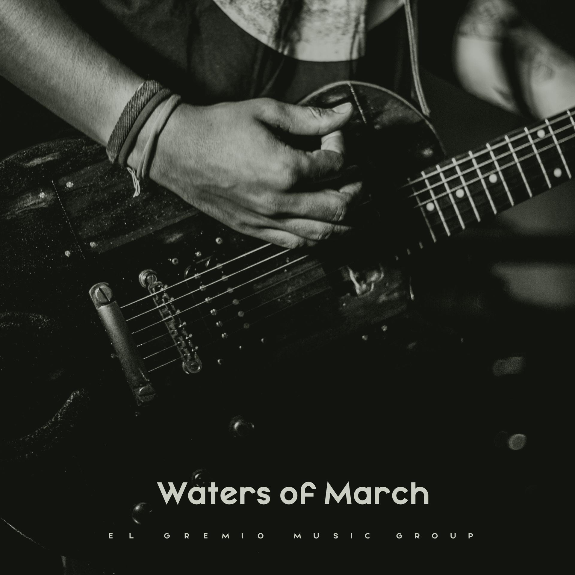Постер альбома Waters of March