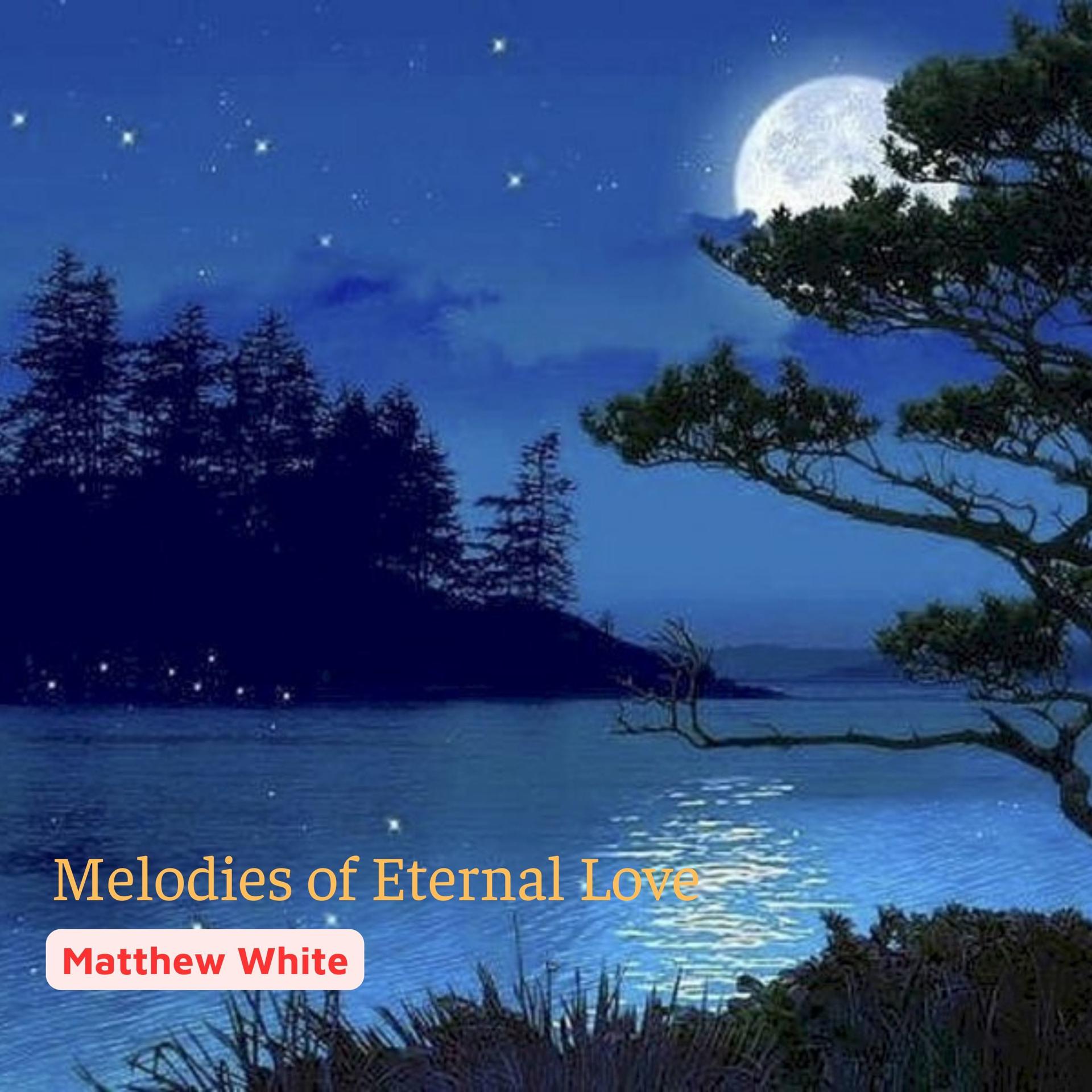 Постер альбома Melodies of Eternal Love