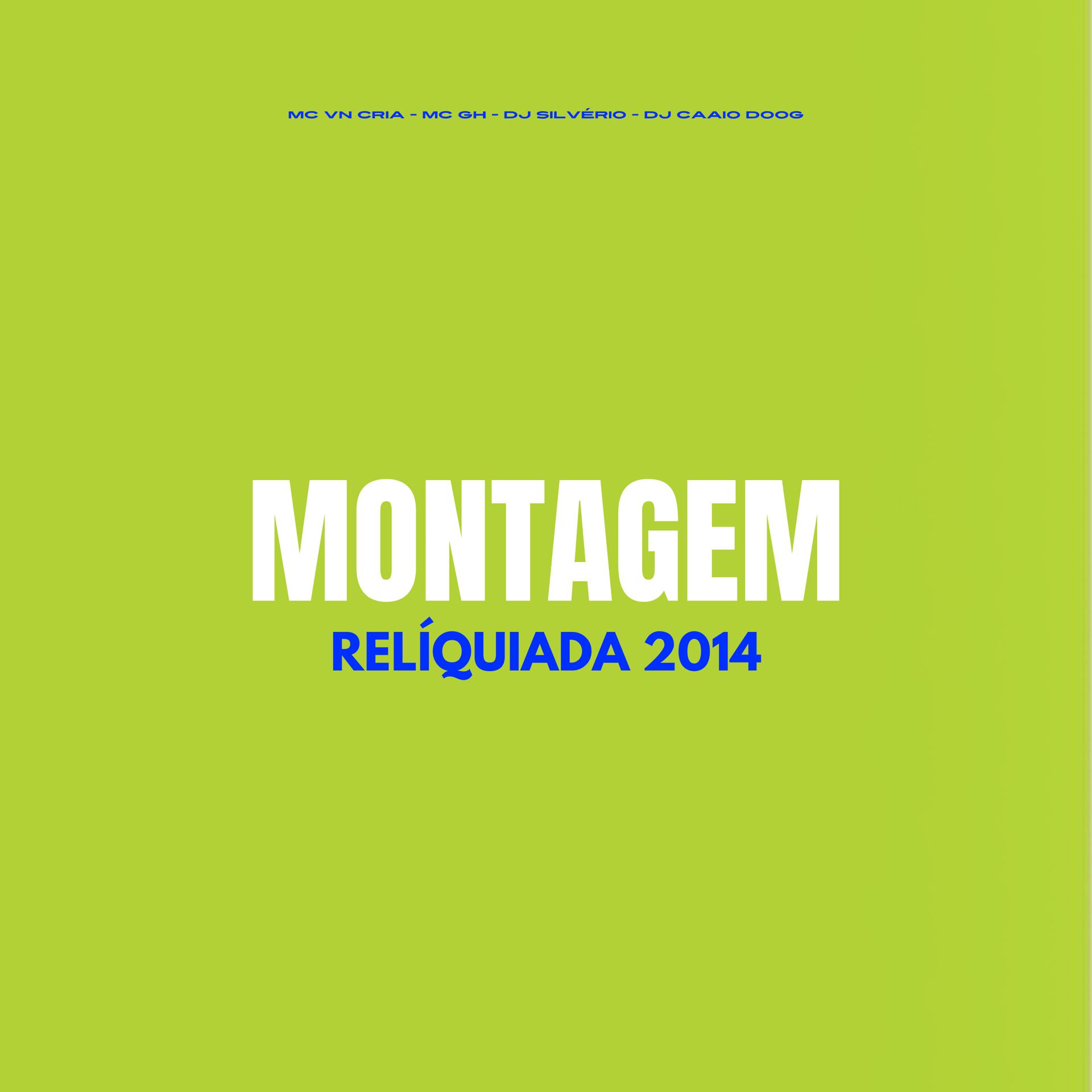 Постер альбома Montagem Relíquiada 2014