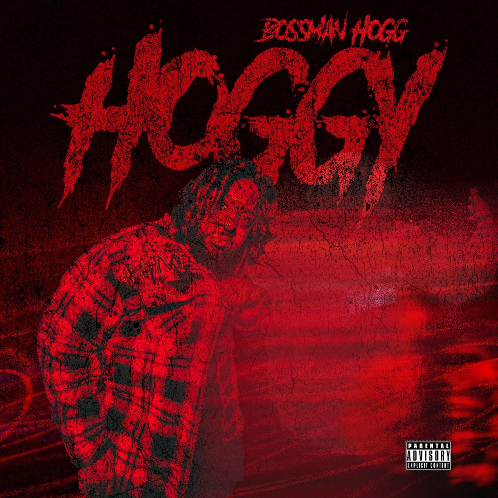 Постер альбома Hoggy