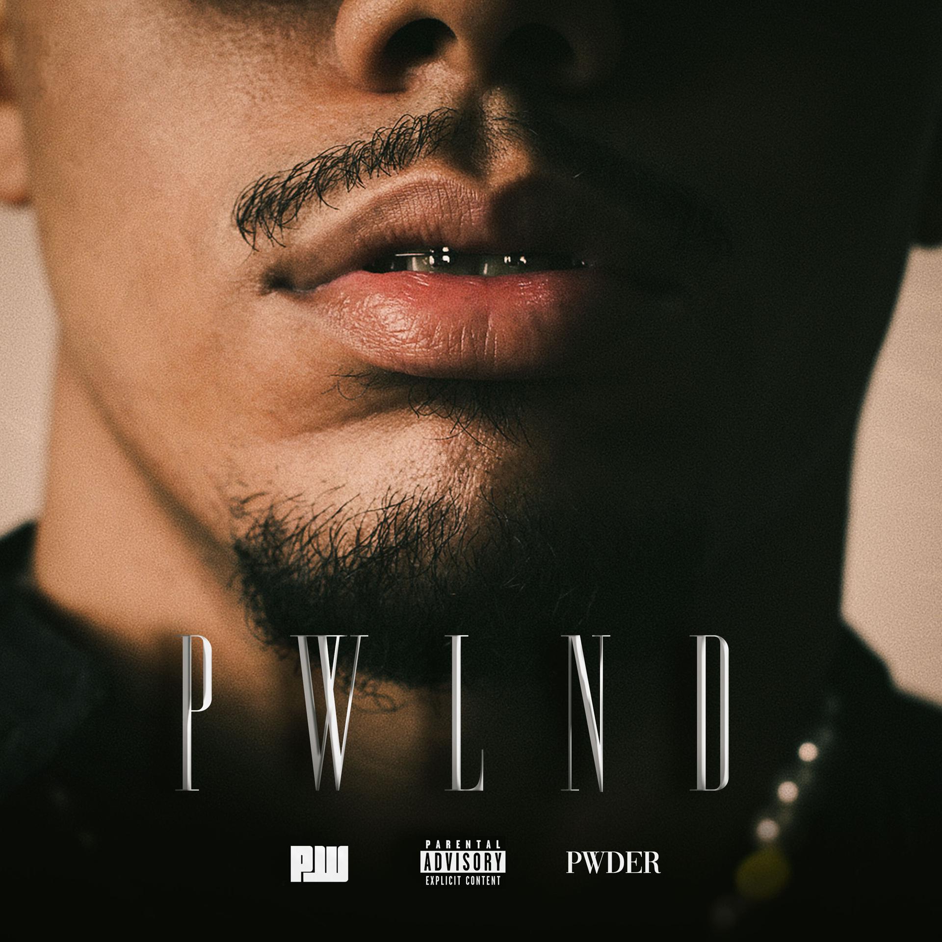 Постер альбома Pwlnd