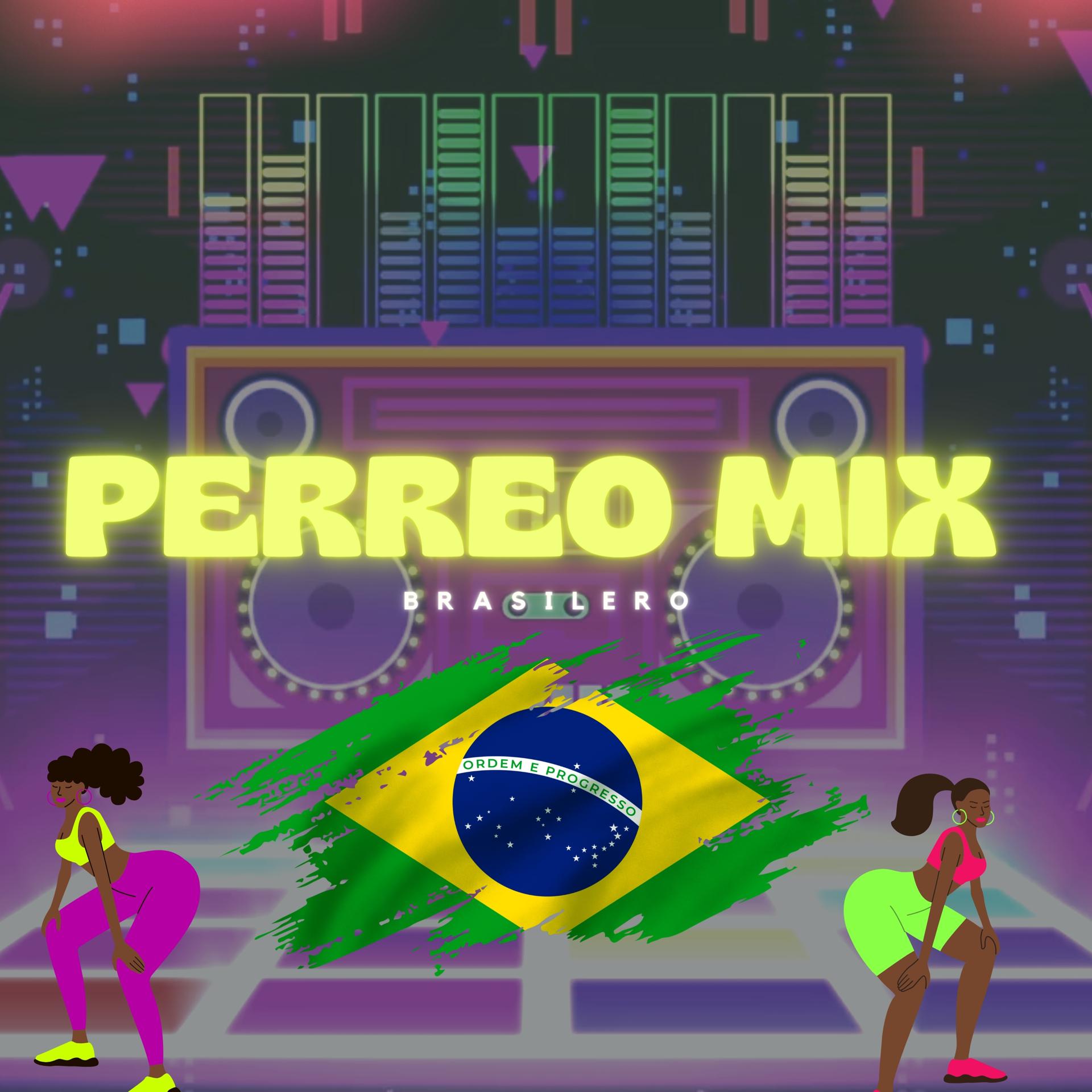 Постер альбома PERREO MIX Brasilero