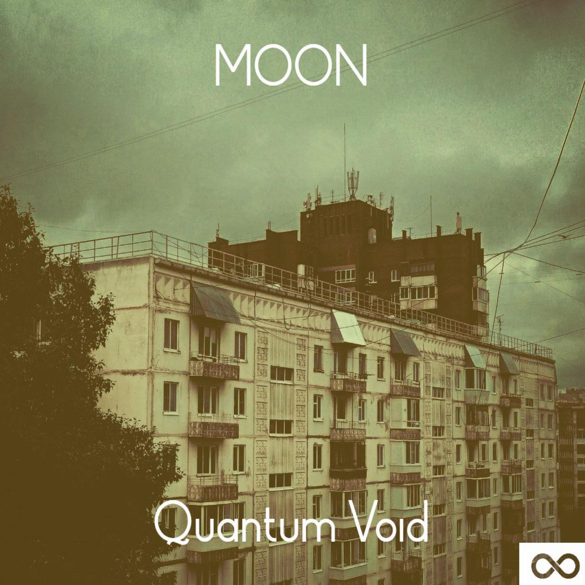 Постер альбома Quantum Void