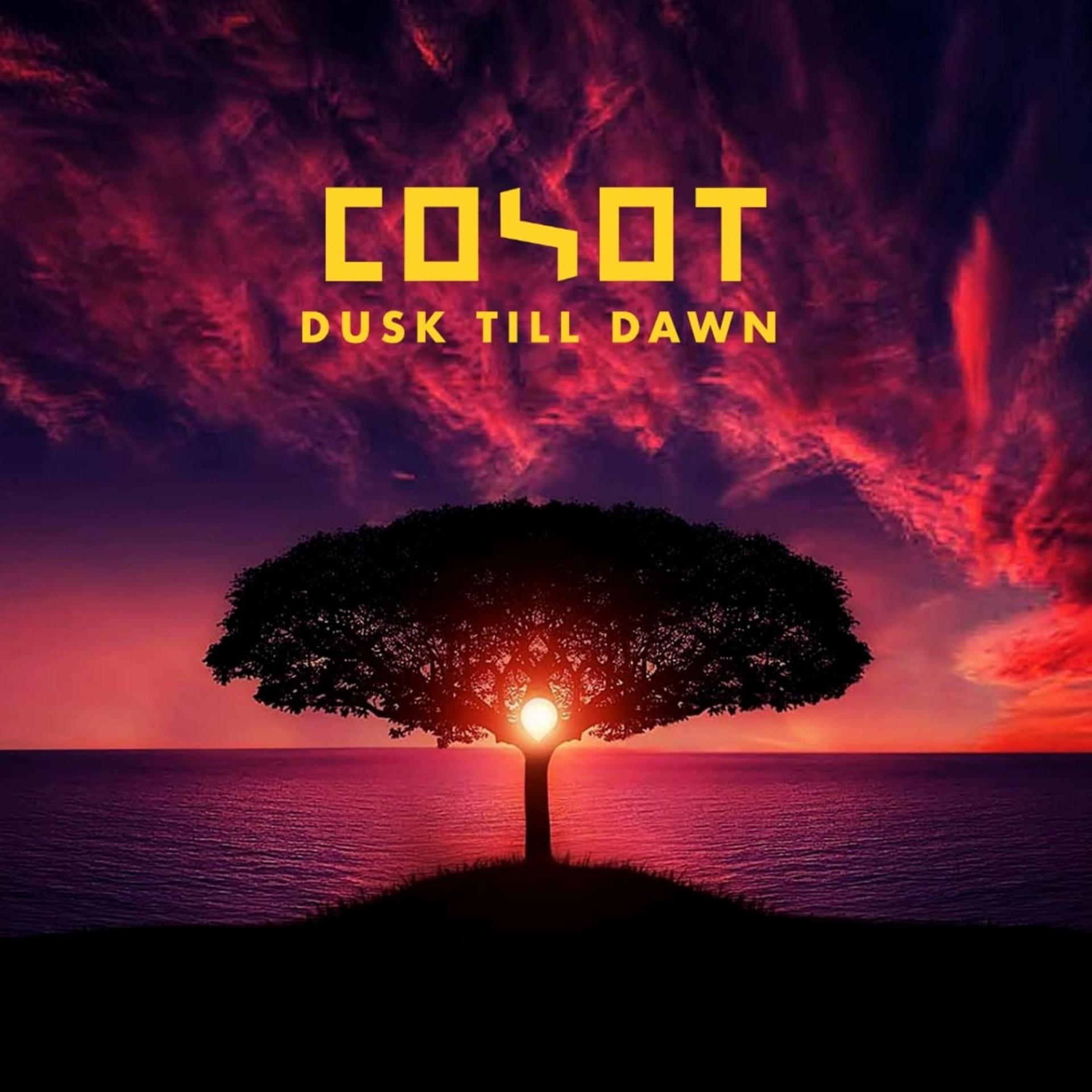 Постер альбома Dusk Till Dawn