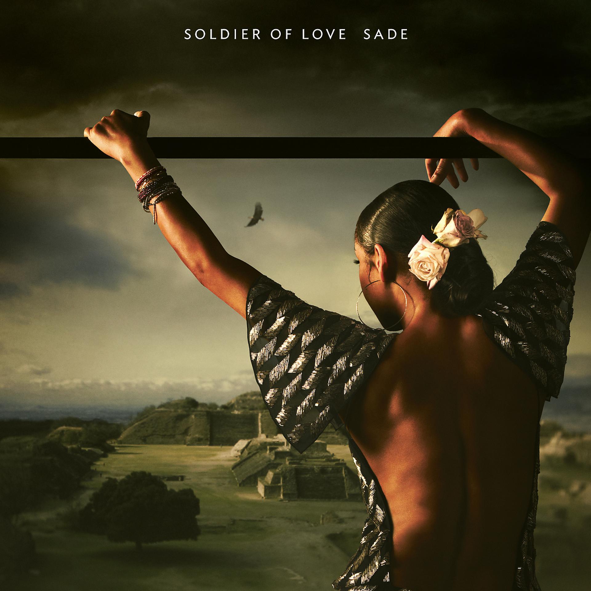 Постер альбома Soldier of Love