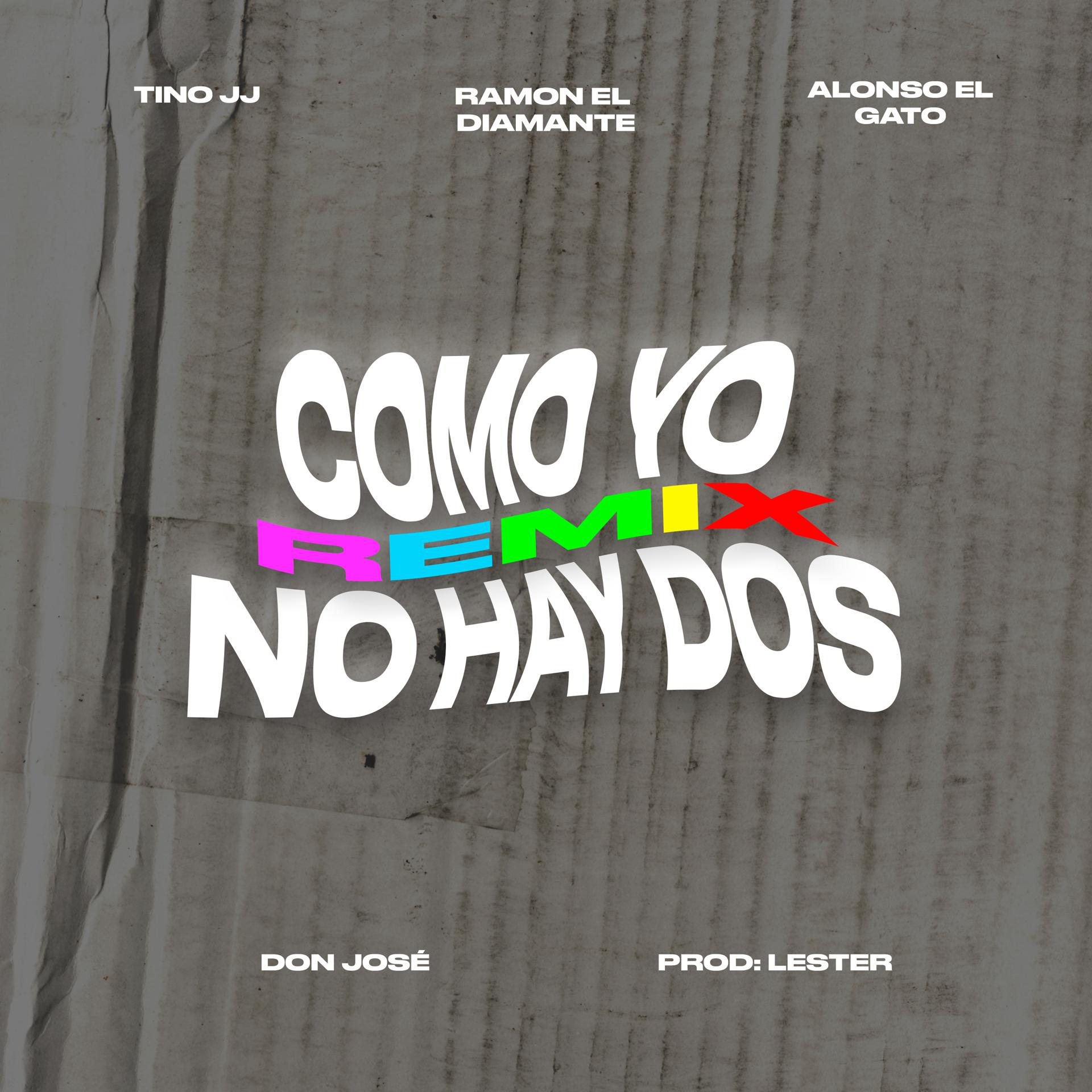 Постер альбома Como Yo No Hay Dos
