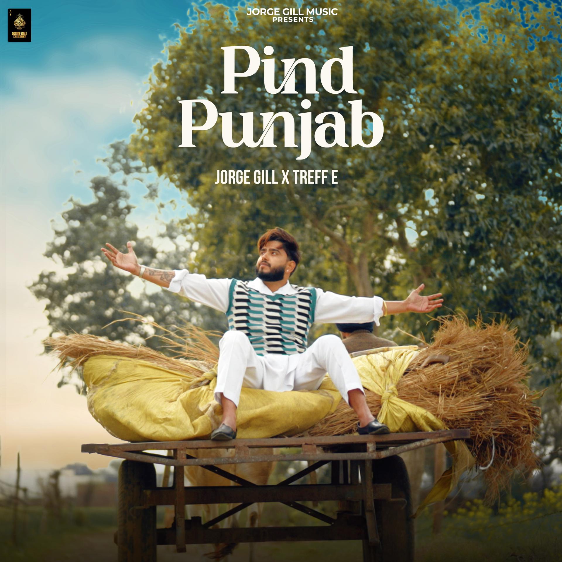 Постер альбома Pind Punjab
