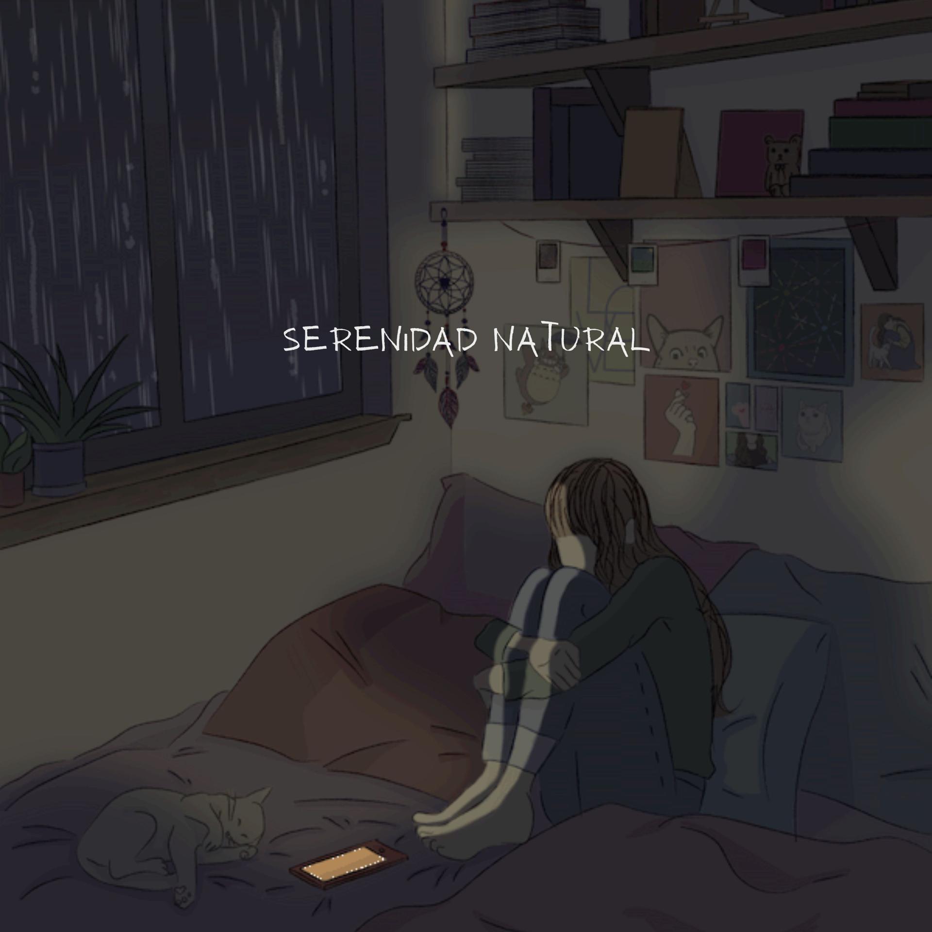 Постер альбома Serenidad Natural