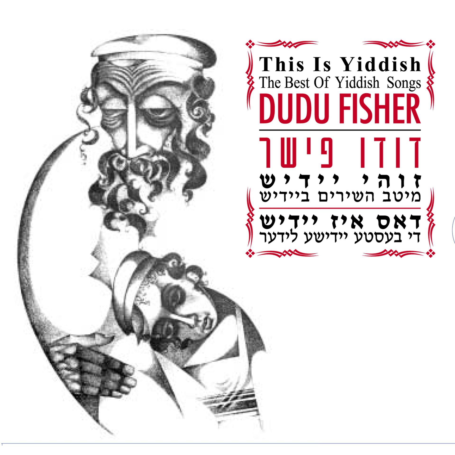 Постер альбома Zuhi Yiddish