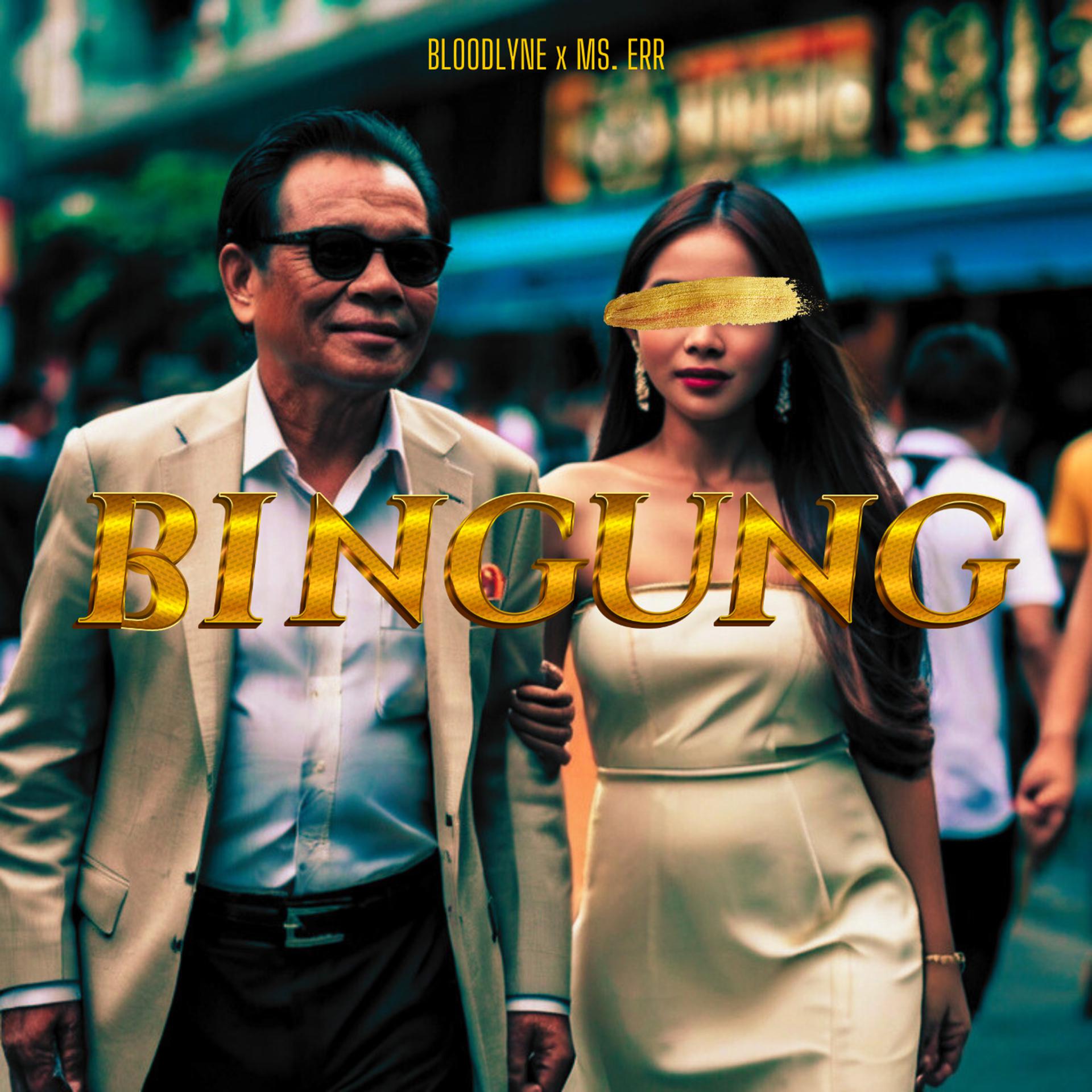 Постер альбома Bingung