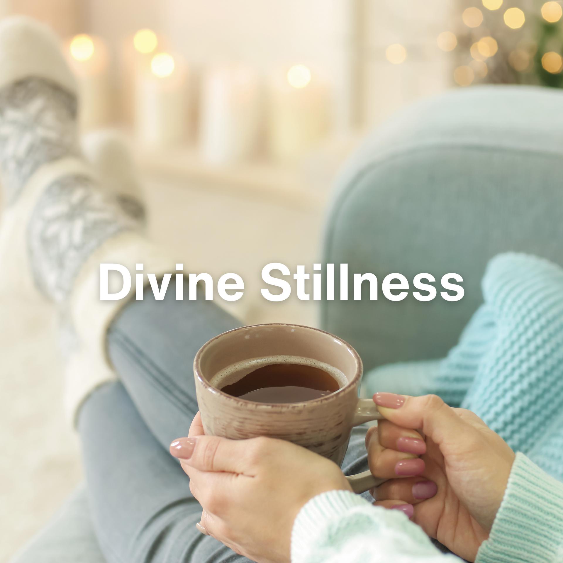 Постер альбома Divine Stillness