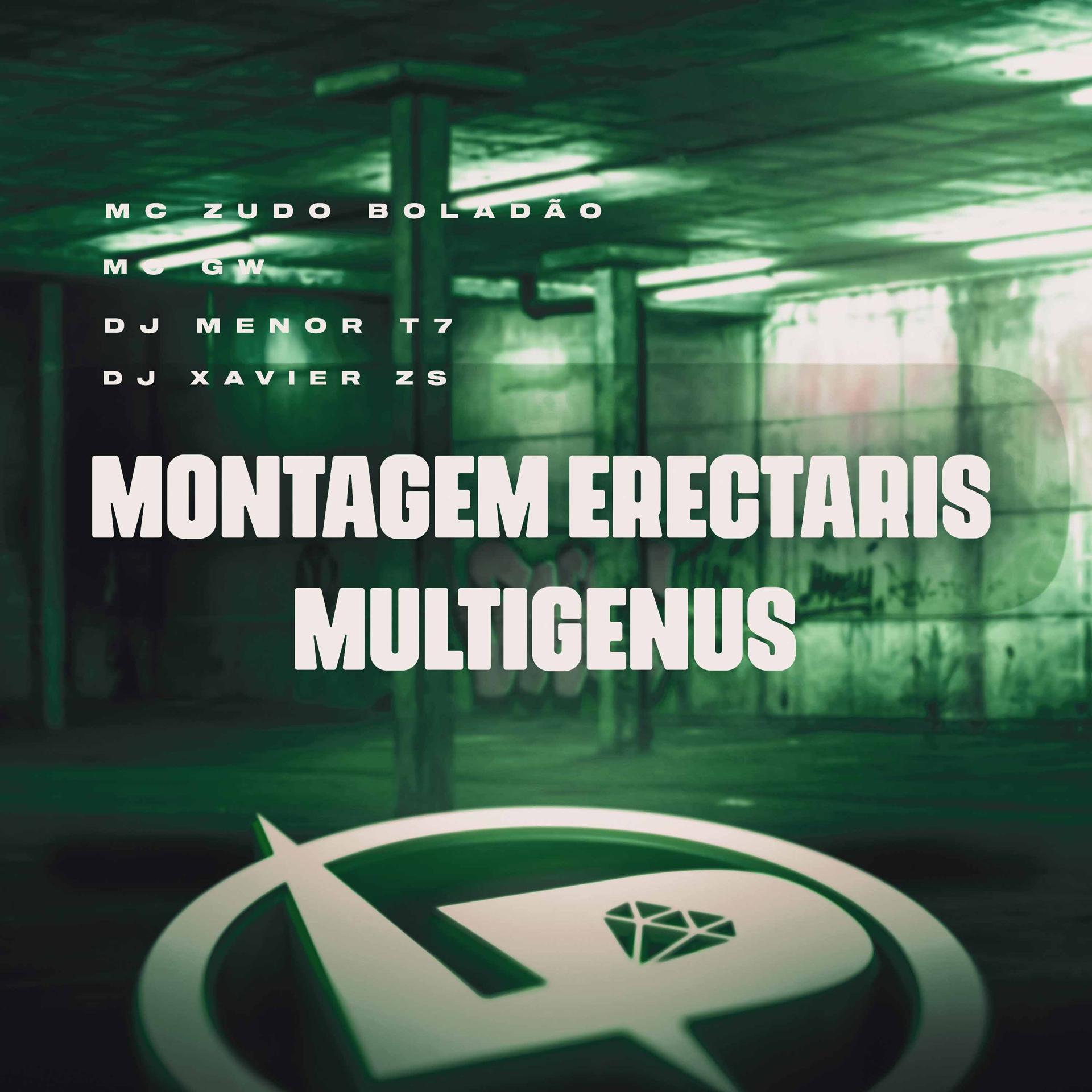 Постер альбома Montagem Erectáris Multígenus