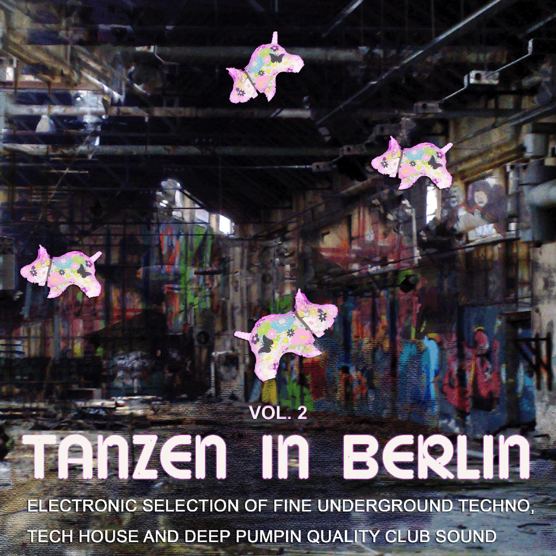 Постер альбома Tanzen in Berlin, Vol. 2: Electronic Selection of Fine Underground Techno