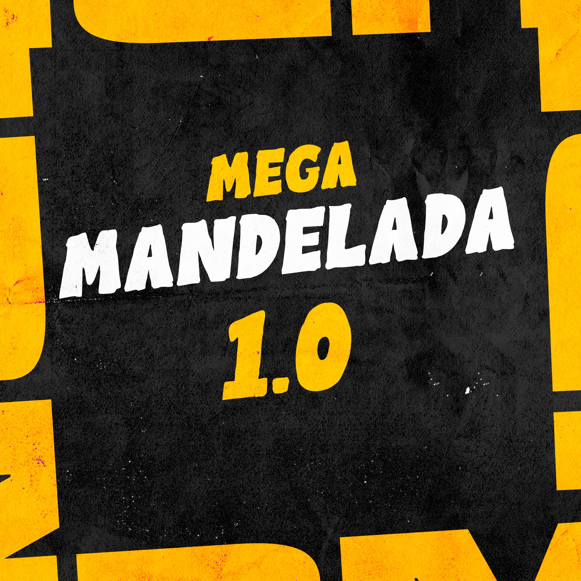 Постер альбома Mega Mandelada 1.0